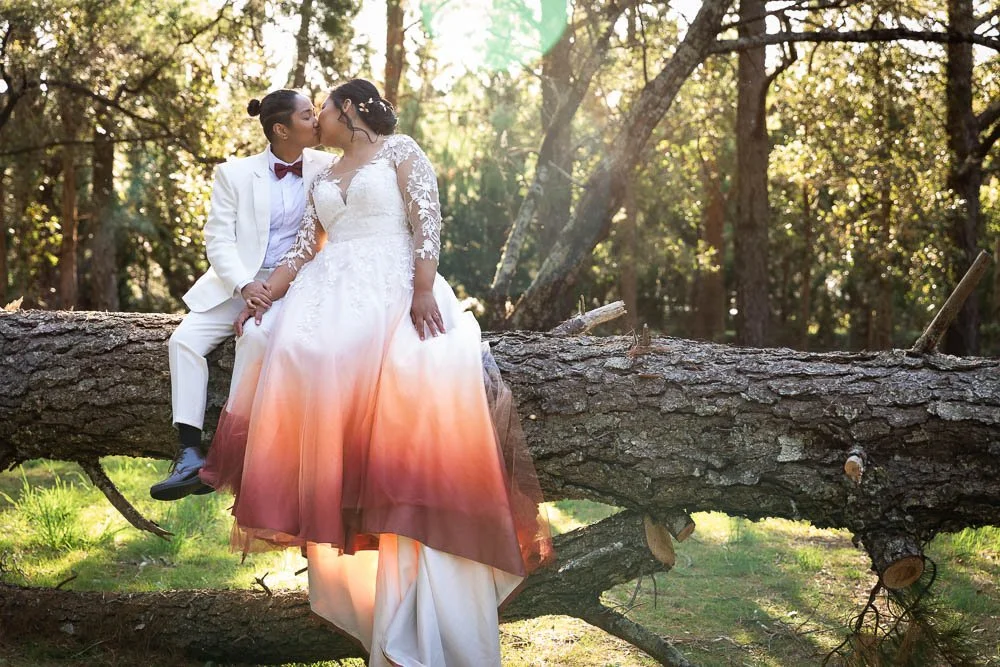 LGBT Wedding Photographer Sydney