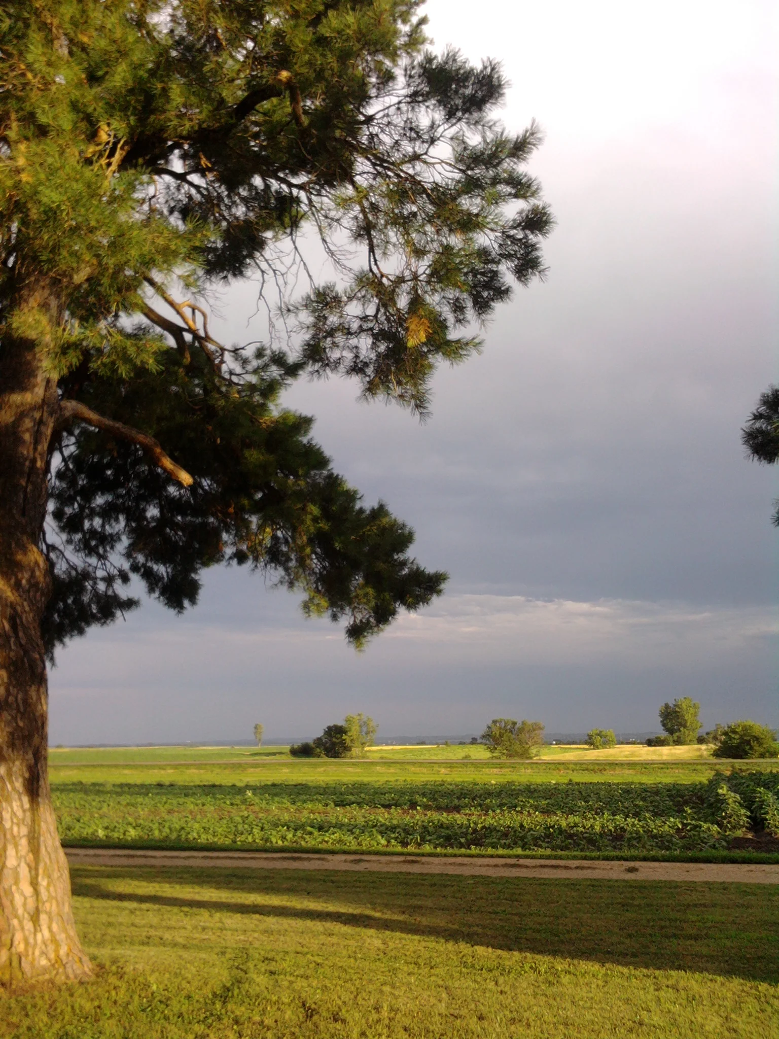 july 2010 068.jpg