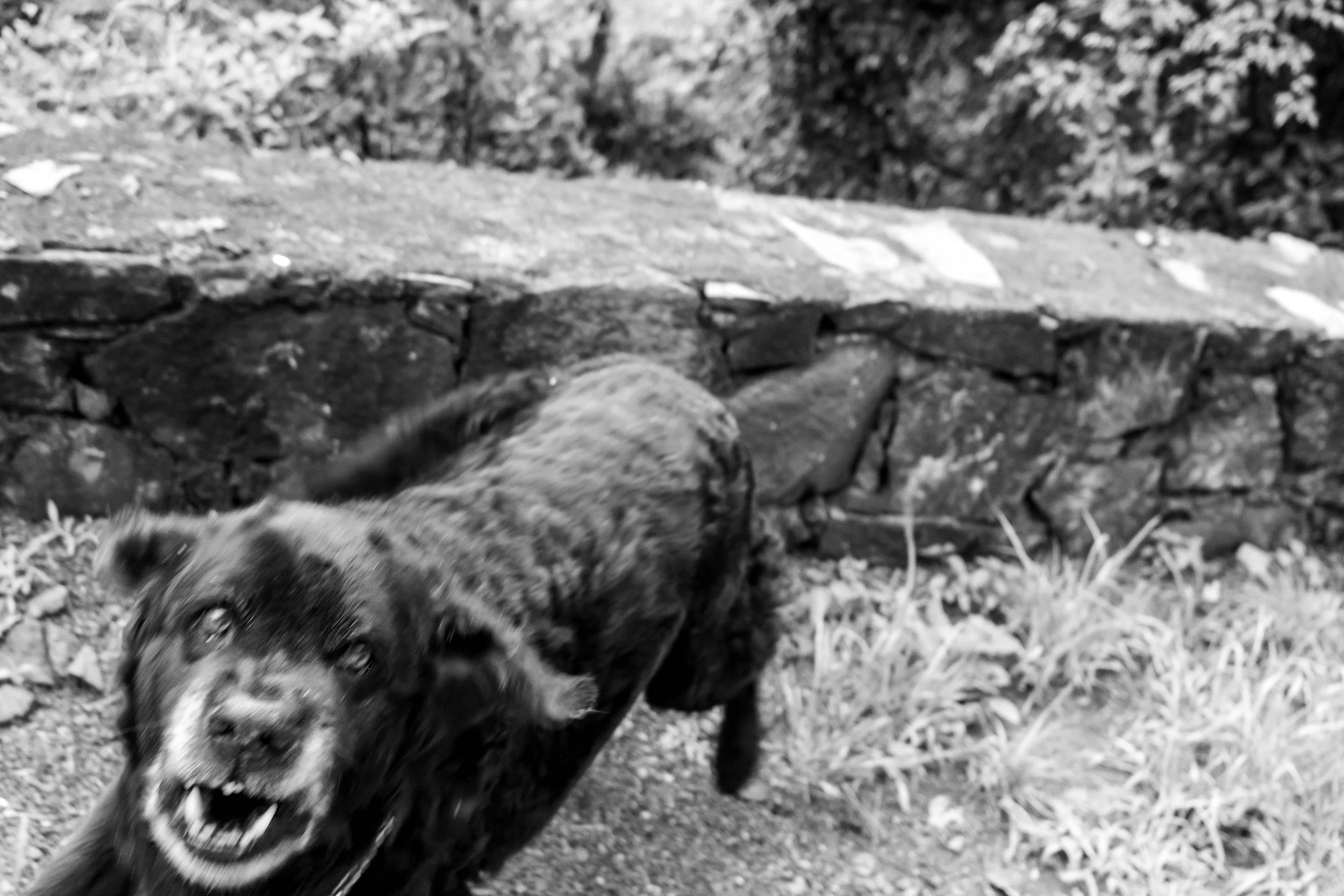 Valle de Bravo, Mexico. 2023