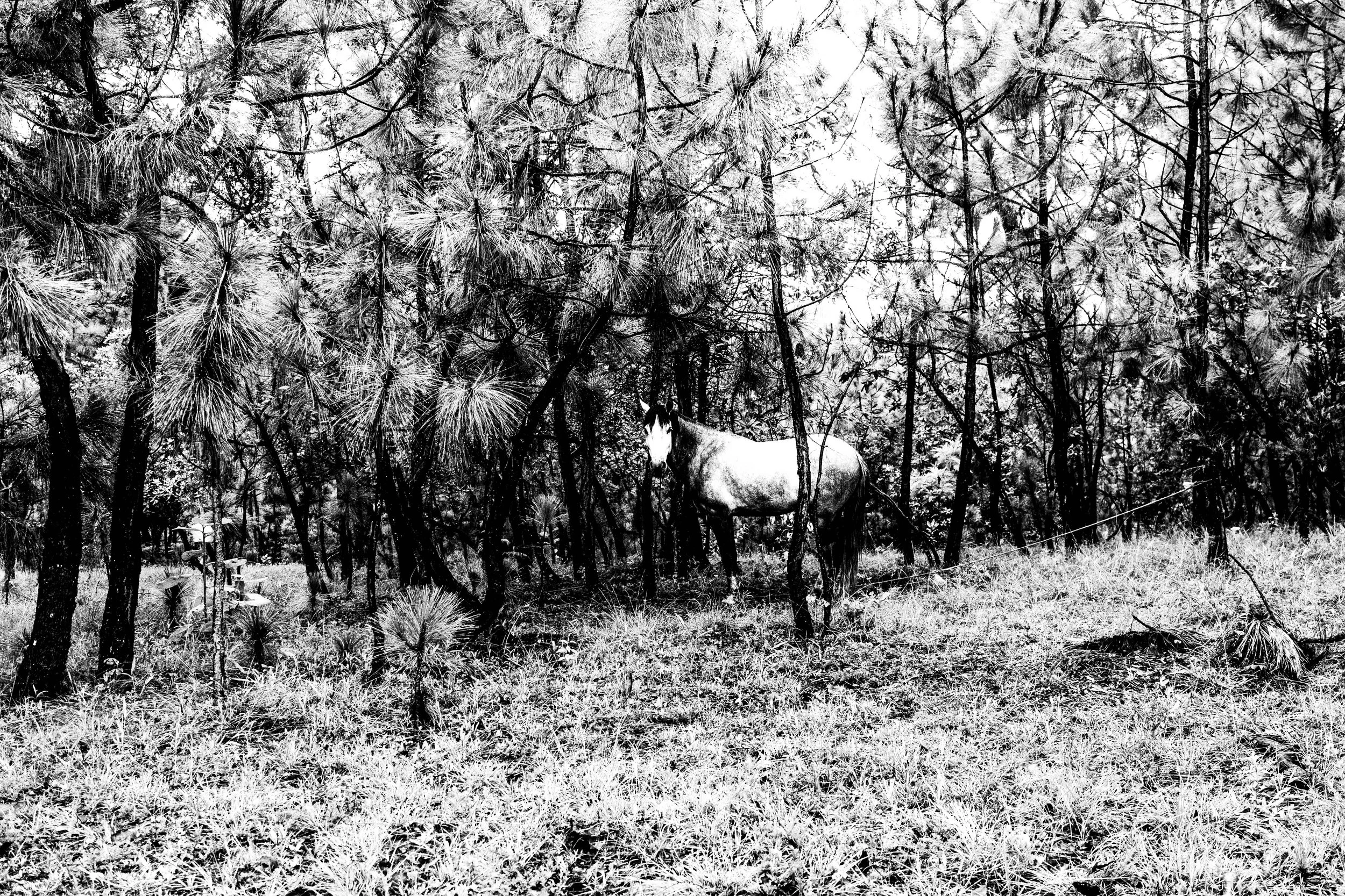 Valle de Bravo, Mexico. 2023