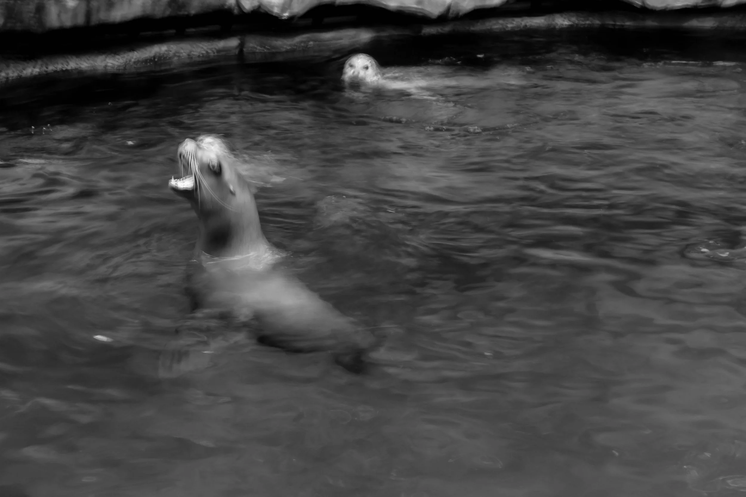 Vancouver, BC, Canada. 2015