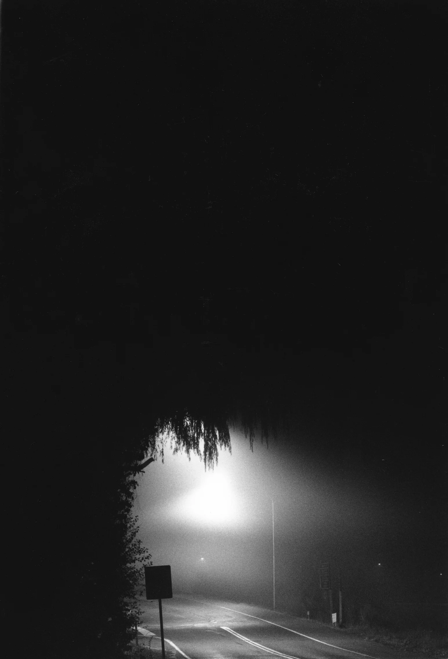 35 mm. b/w negative c-print