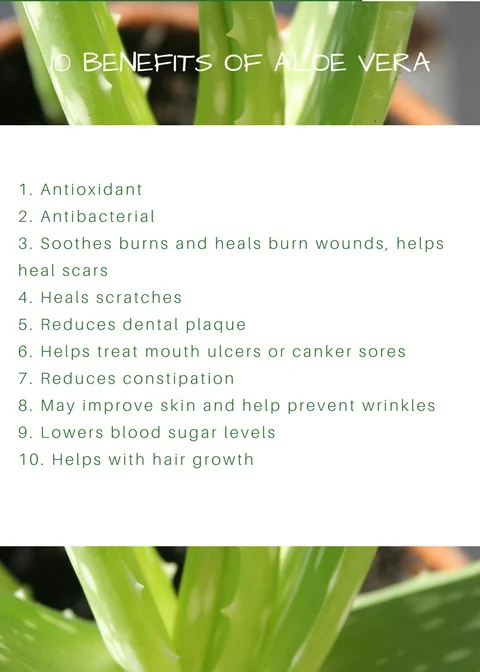 10 Benefits of Aloe Vera