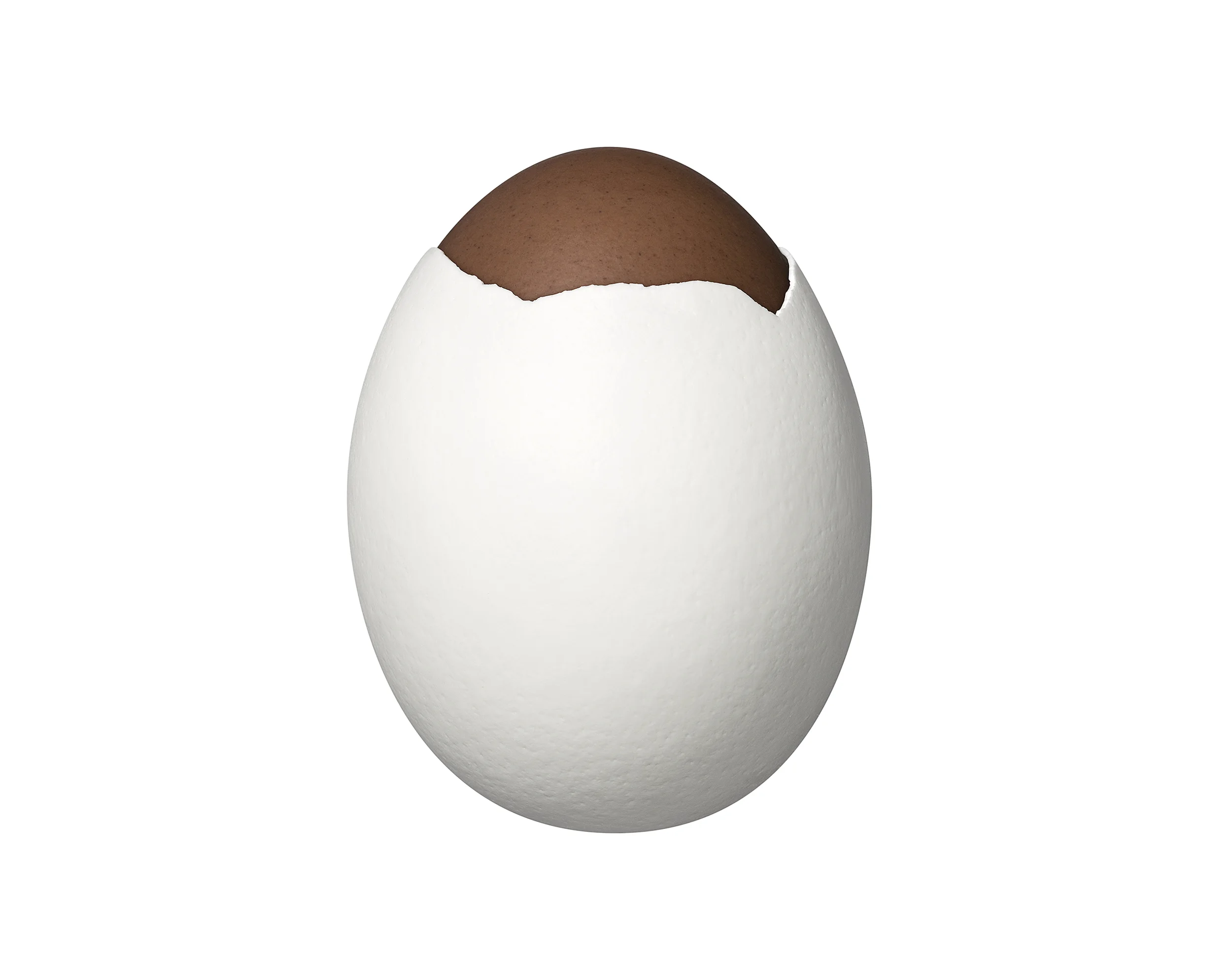 mignon_v2.jpg
