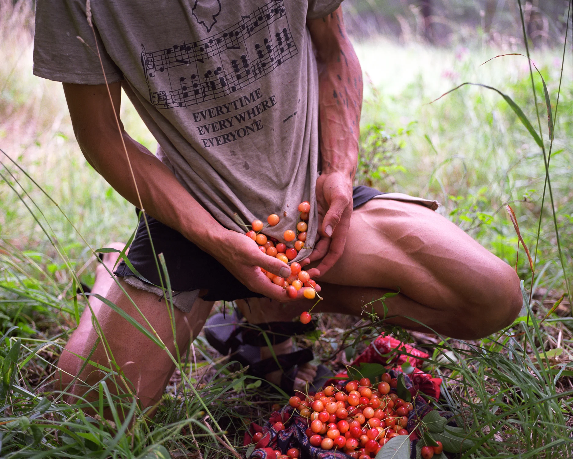 cherries, Marble Mountain Wilderness,California.jpg