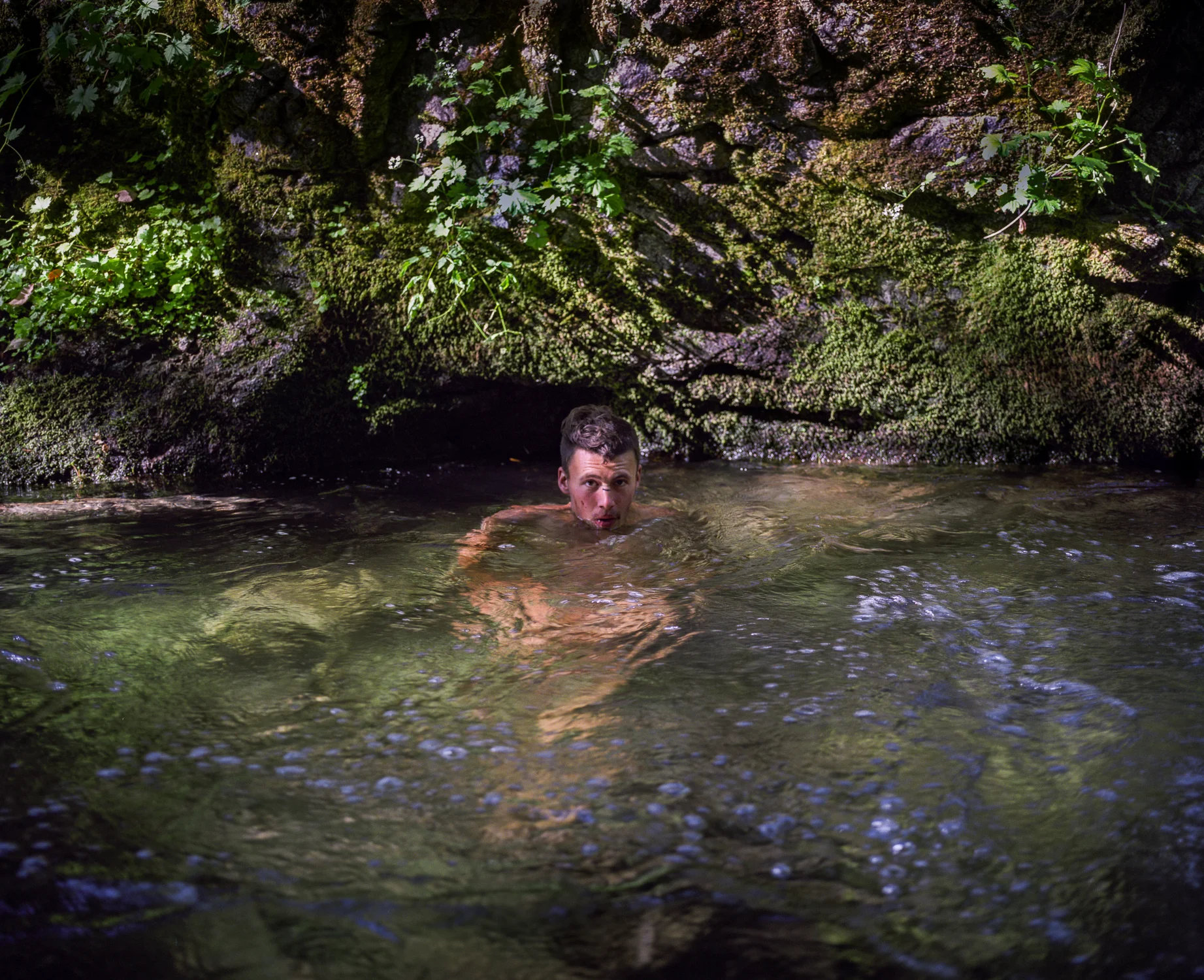 creek, Steinacher Creek,California.jpg