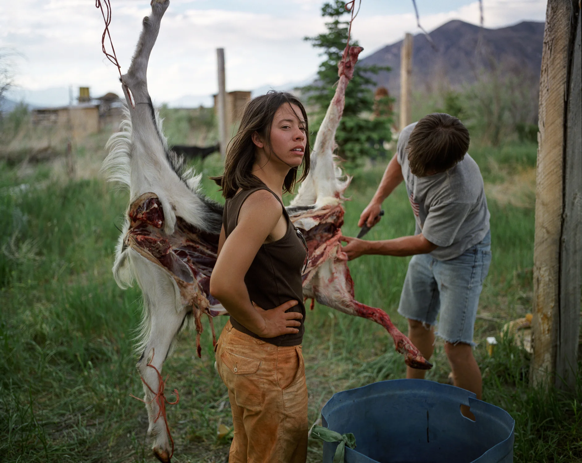 dressing a carcass, Arco,Idaho.jpg