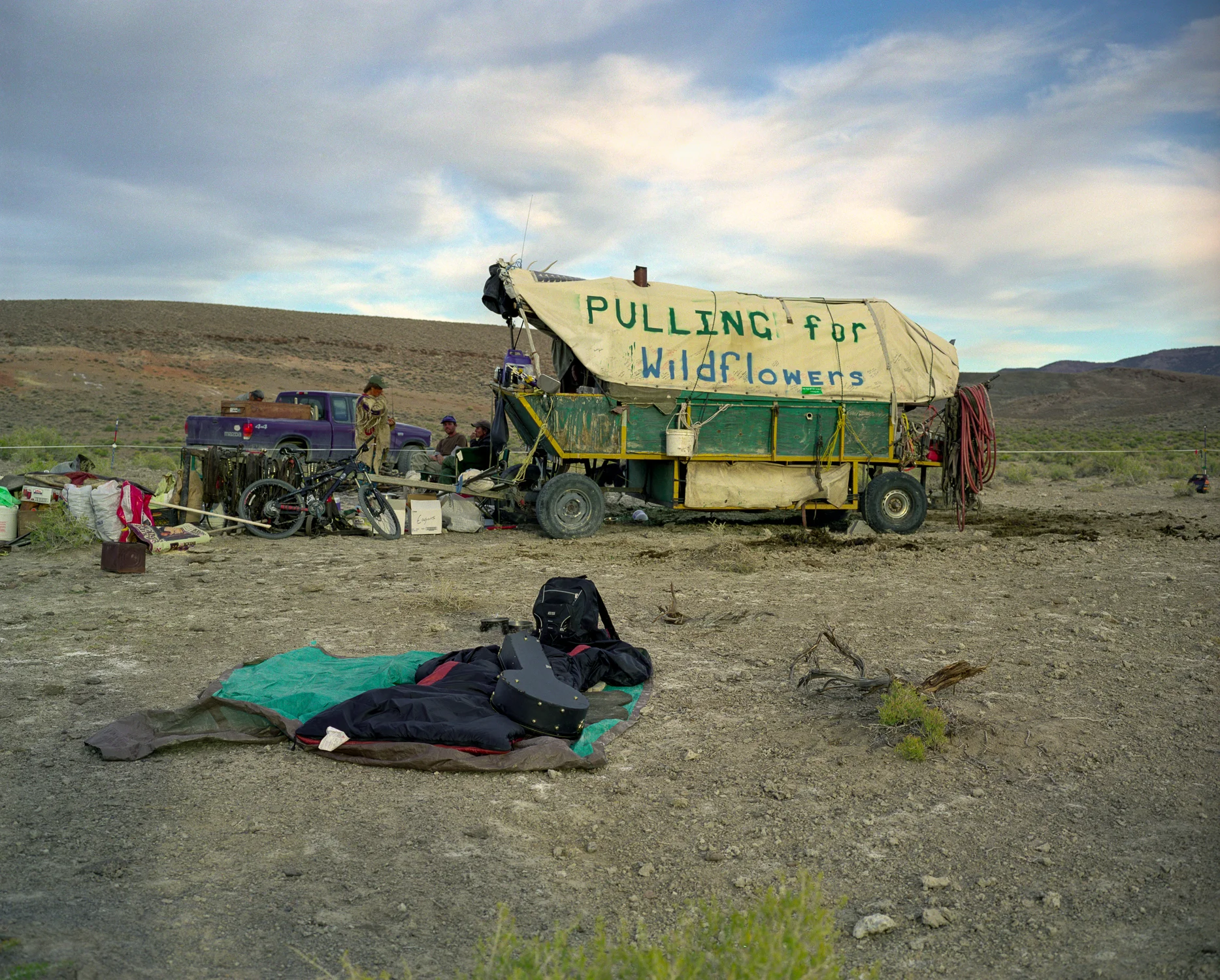 pulling for wildflowers, Spencer Hot Springs,Nevada.jpg