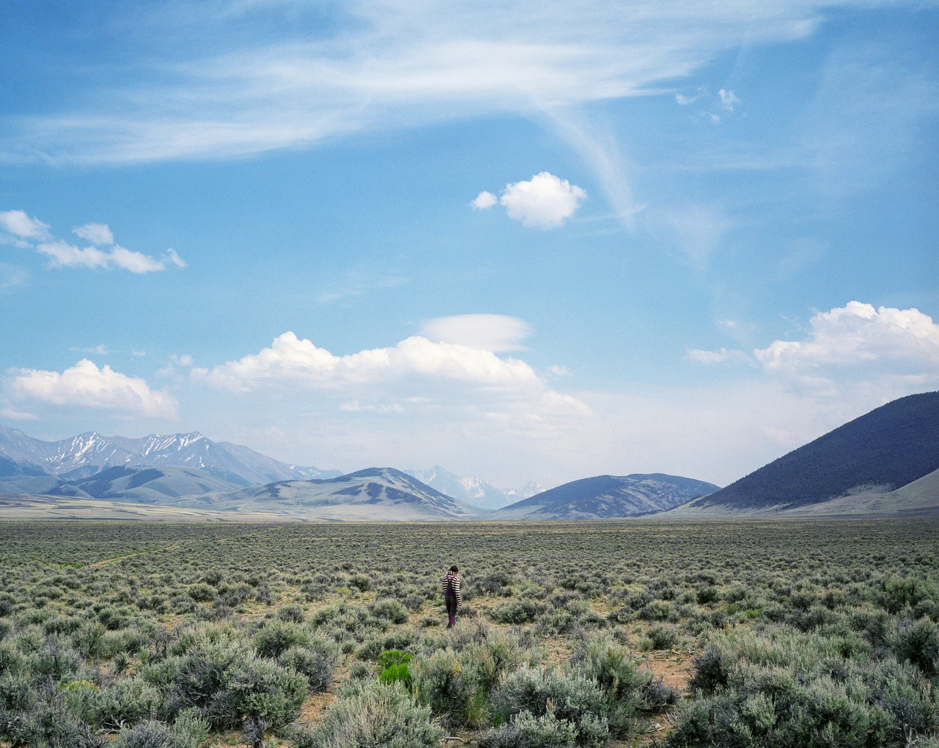sage field, Lone Pine Ridge,Idaho.jpg