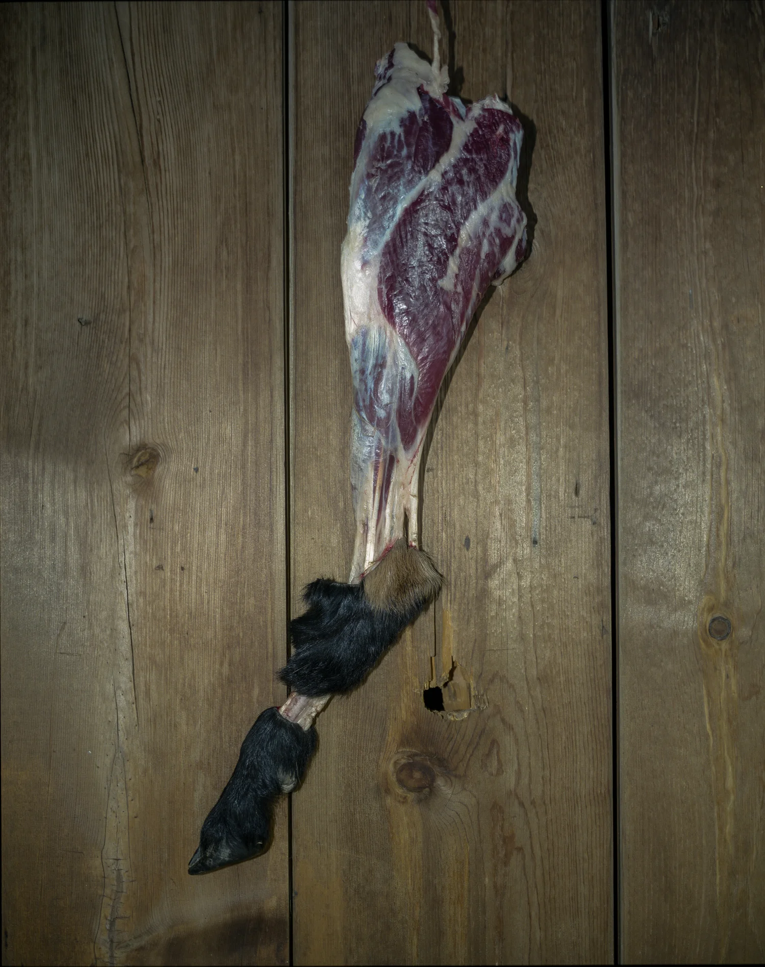 steak with a hoof, Hudles Hole, Craters of the Moon, Idaho.jpg