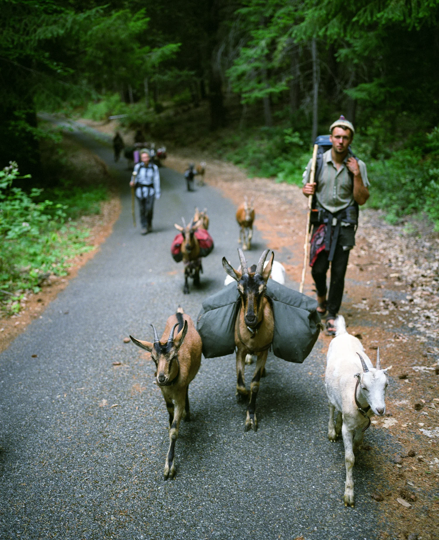 trek, Marble Mountain Wilderness,California.jpg