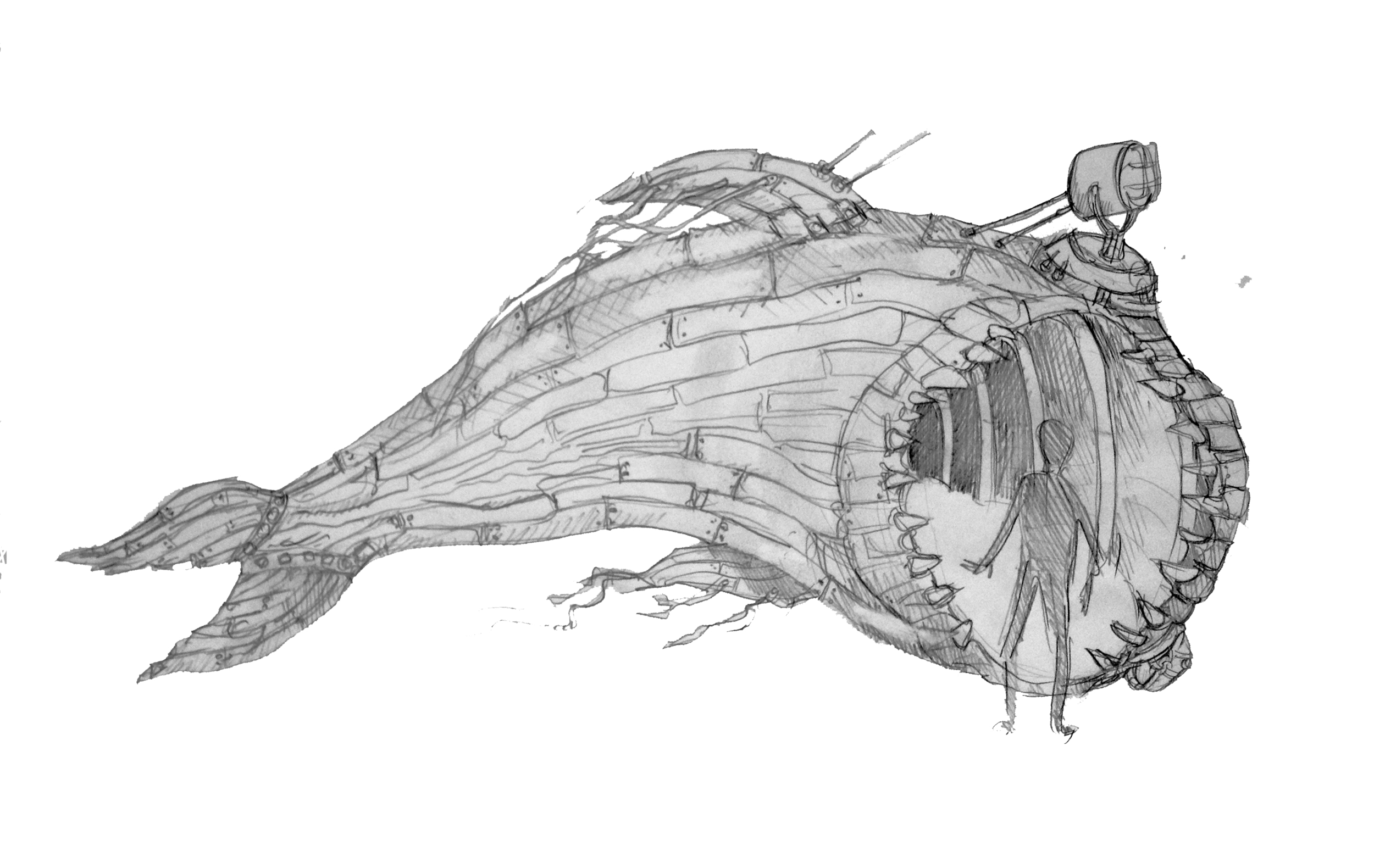 01_Eagle.jpg