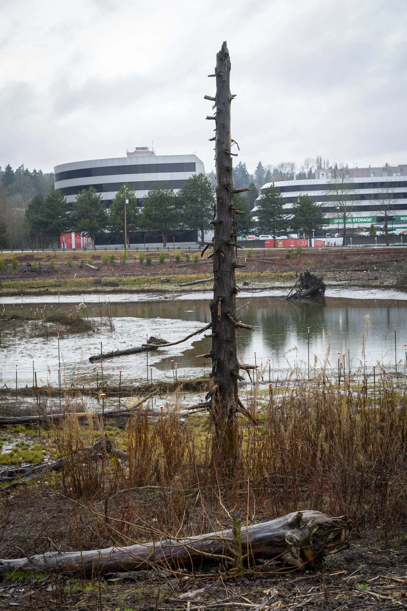Urban Waters Timothy Whiteeagle_-17.jpg