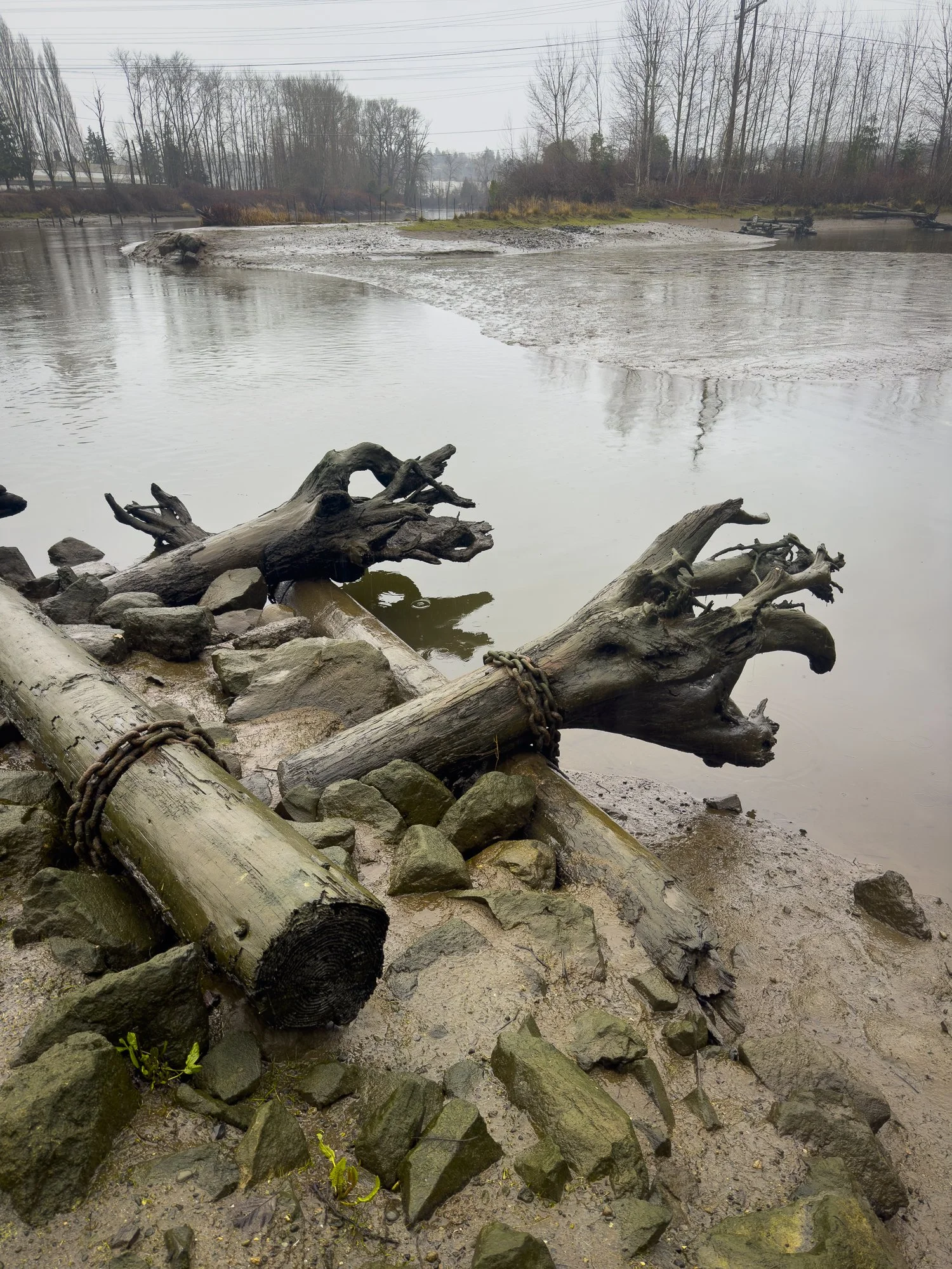Urban Waters Timothy Whiteeagle_-20.jpg