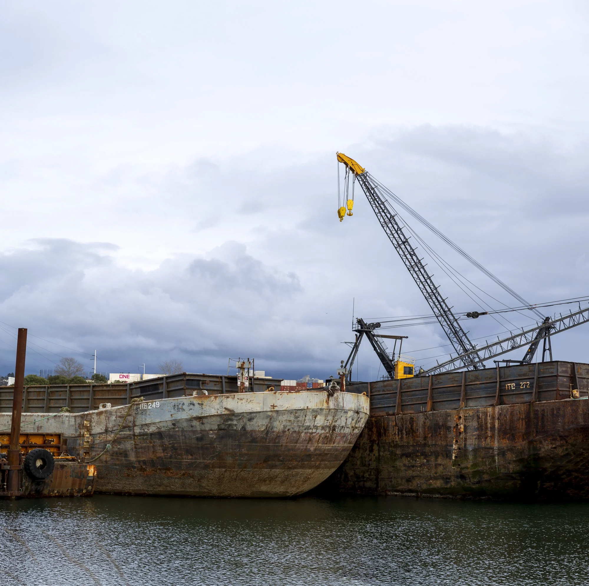 Urban Waters Timothy Whiteeagle_-8.jpg