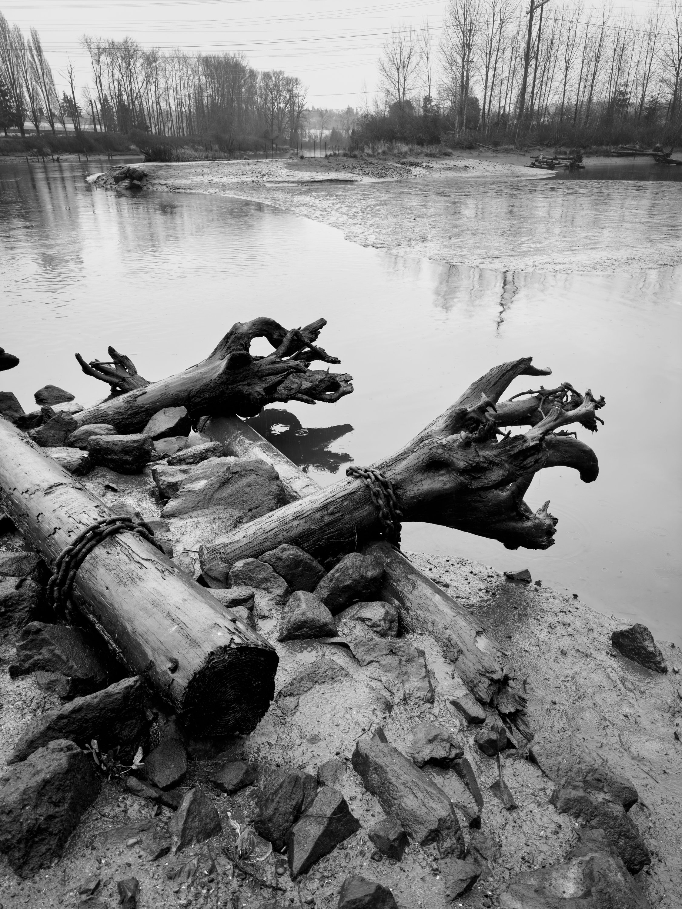 Once WIld River-3.jpg
