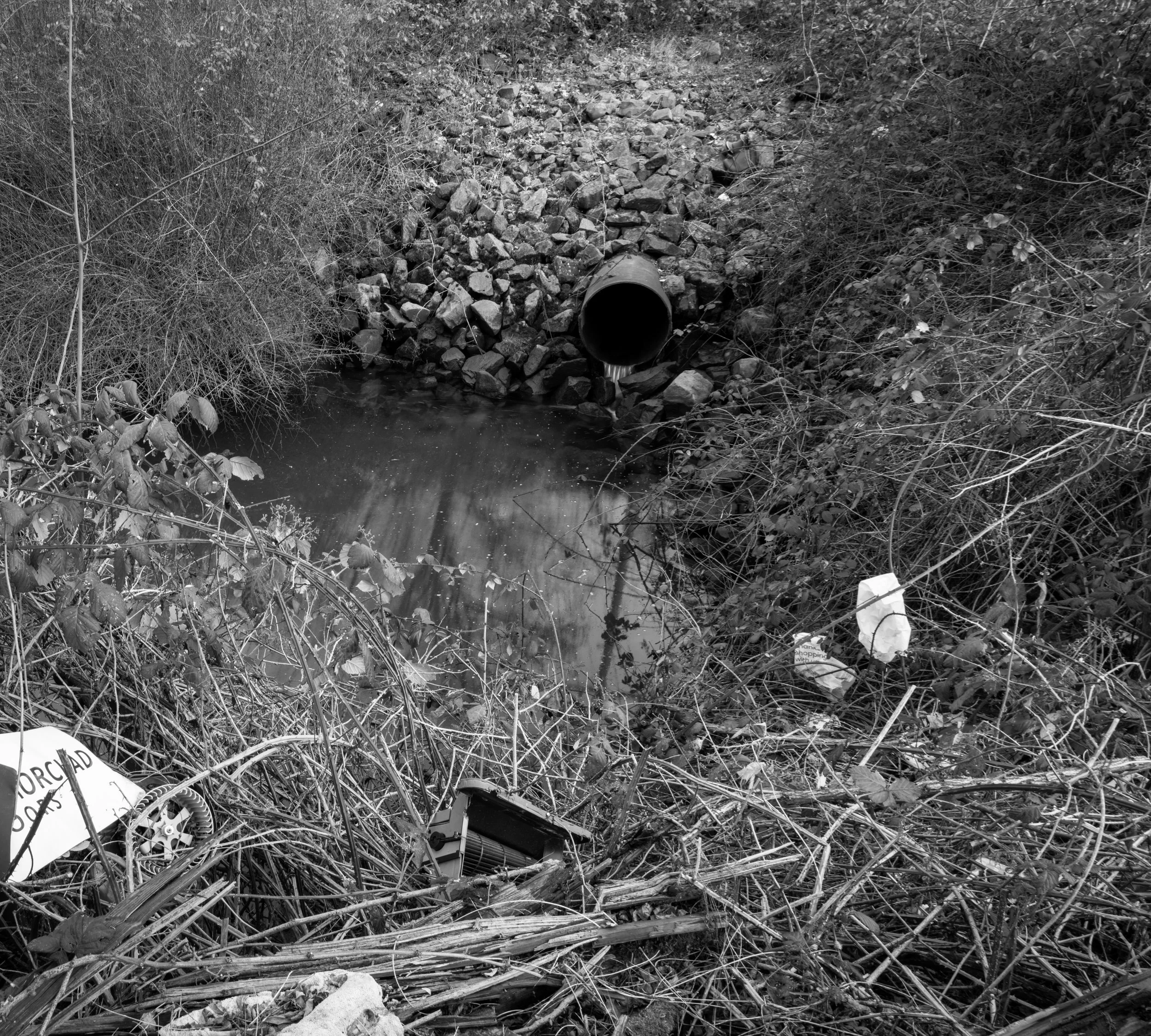 Once WIld River-1-18.jpg