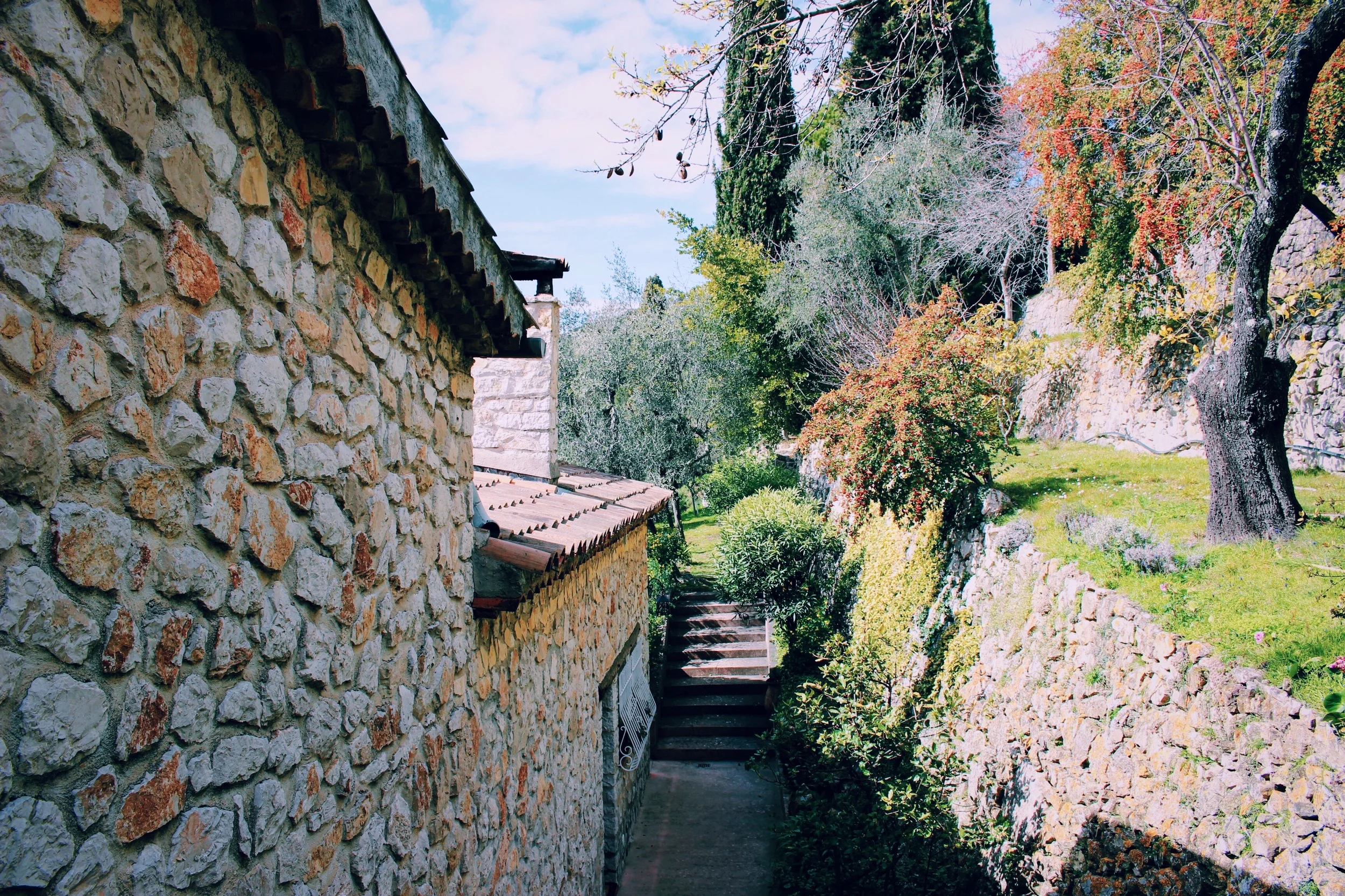 image-9.jpg