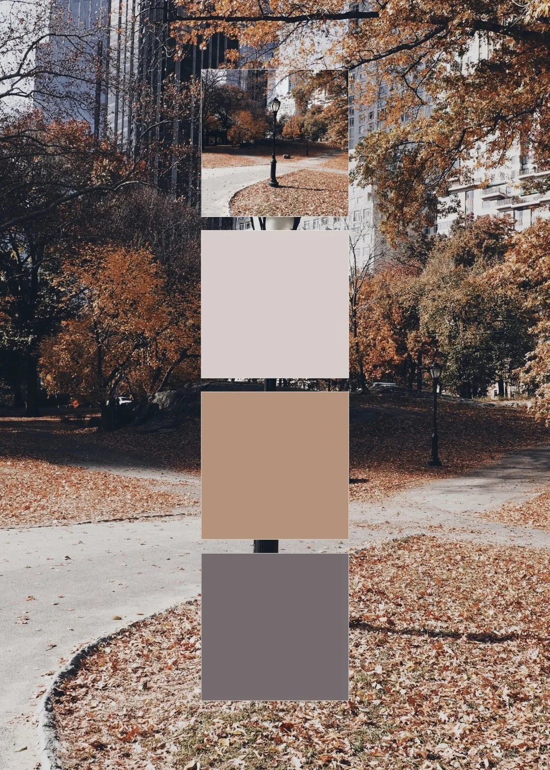 LLP Autumn26 9.jpg