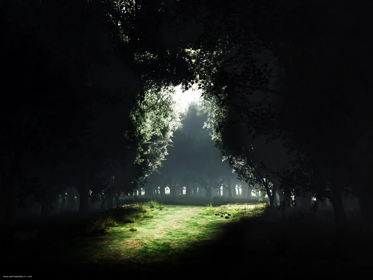 Licht in de duisternis