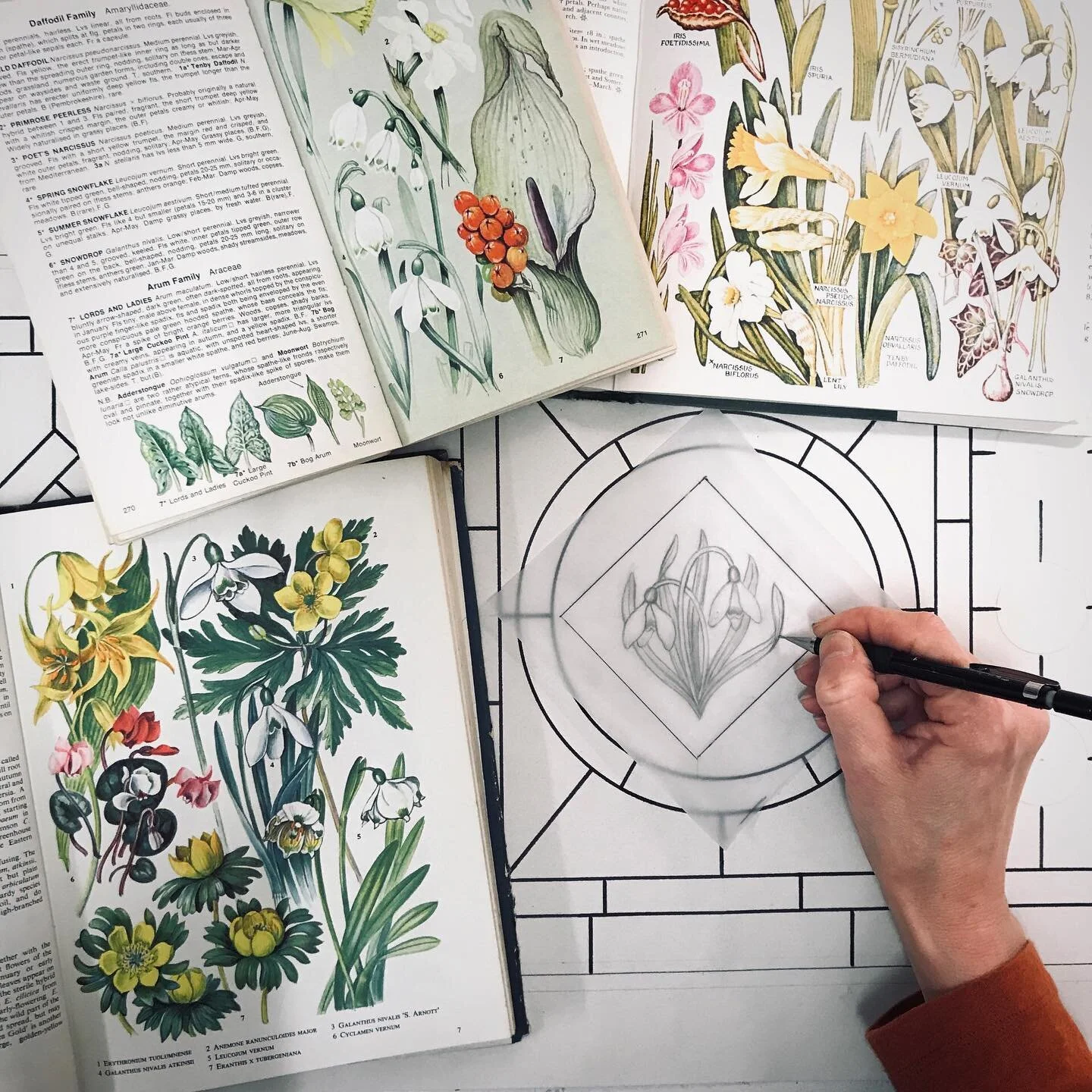 Designing some botanical  painted centres for this pretty Victorian fanlight commission. Always a nice excuse to get the vintage reference books out 🌿📚

#stainedglass