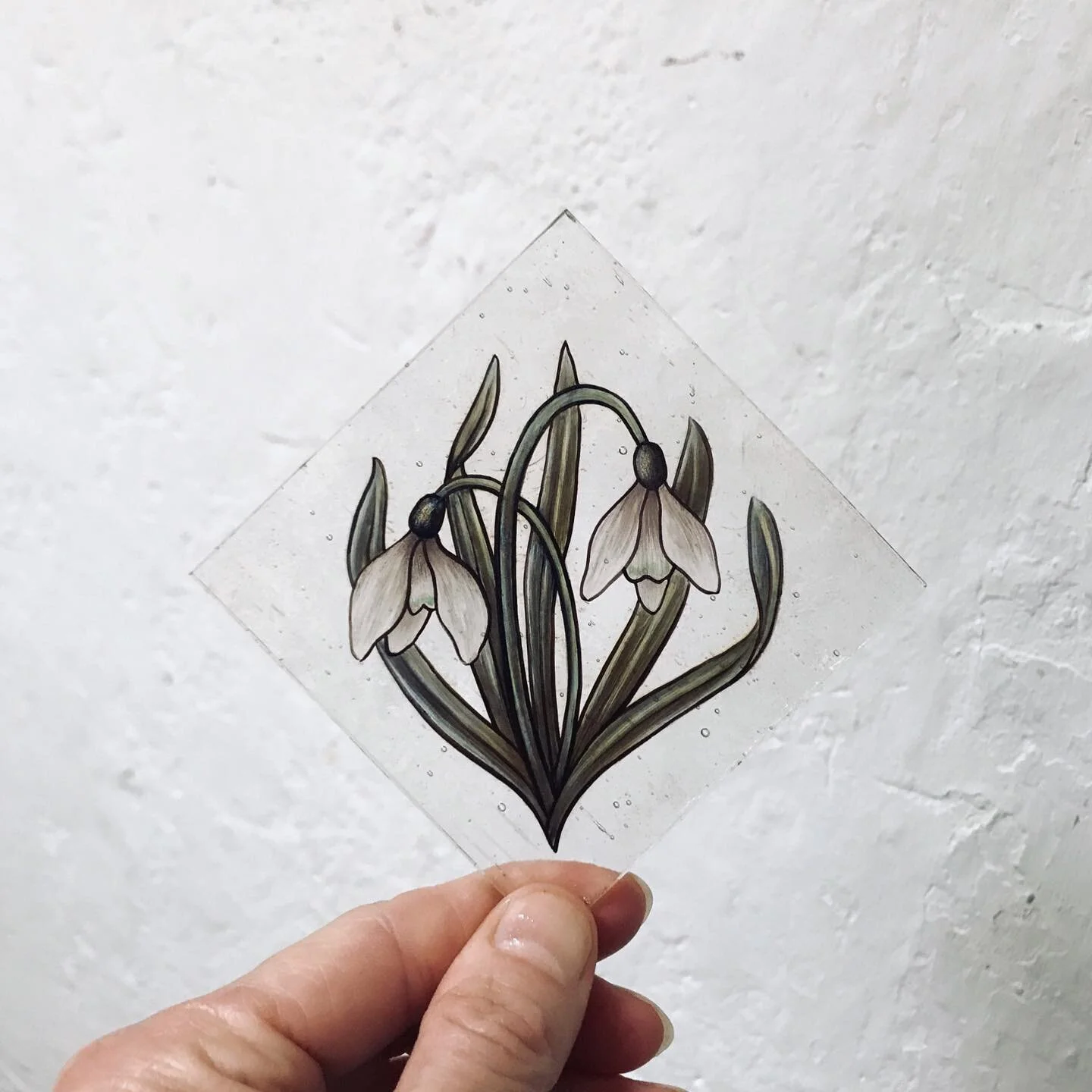 A little bit of snowdrop simplicity / Happy Friday 🤍🌿

#stainedglass #victorianstainedglass