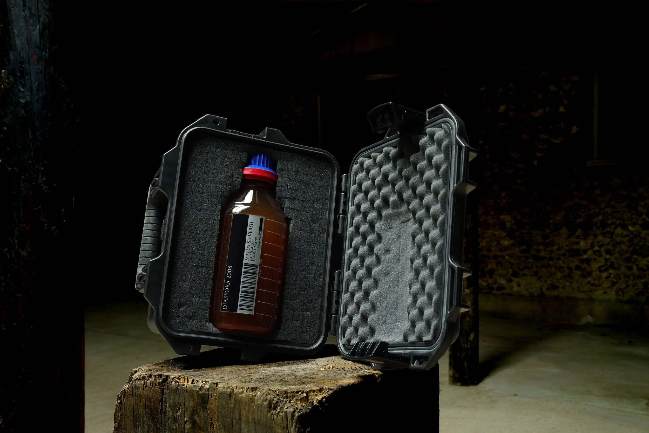 Diaspora flask 6929 copy.jpg