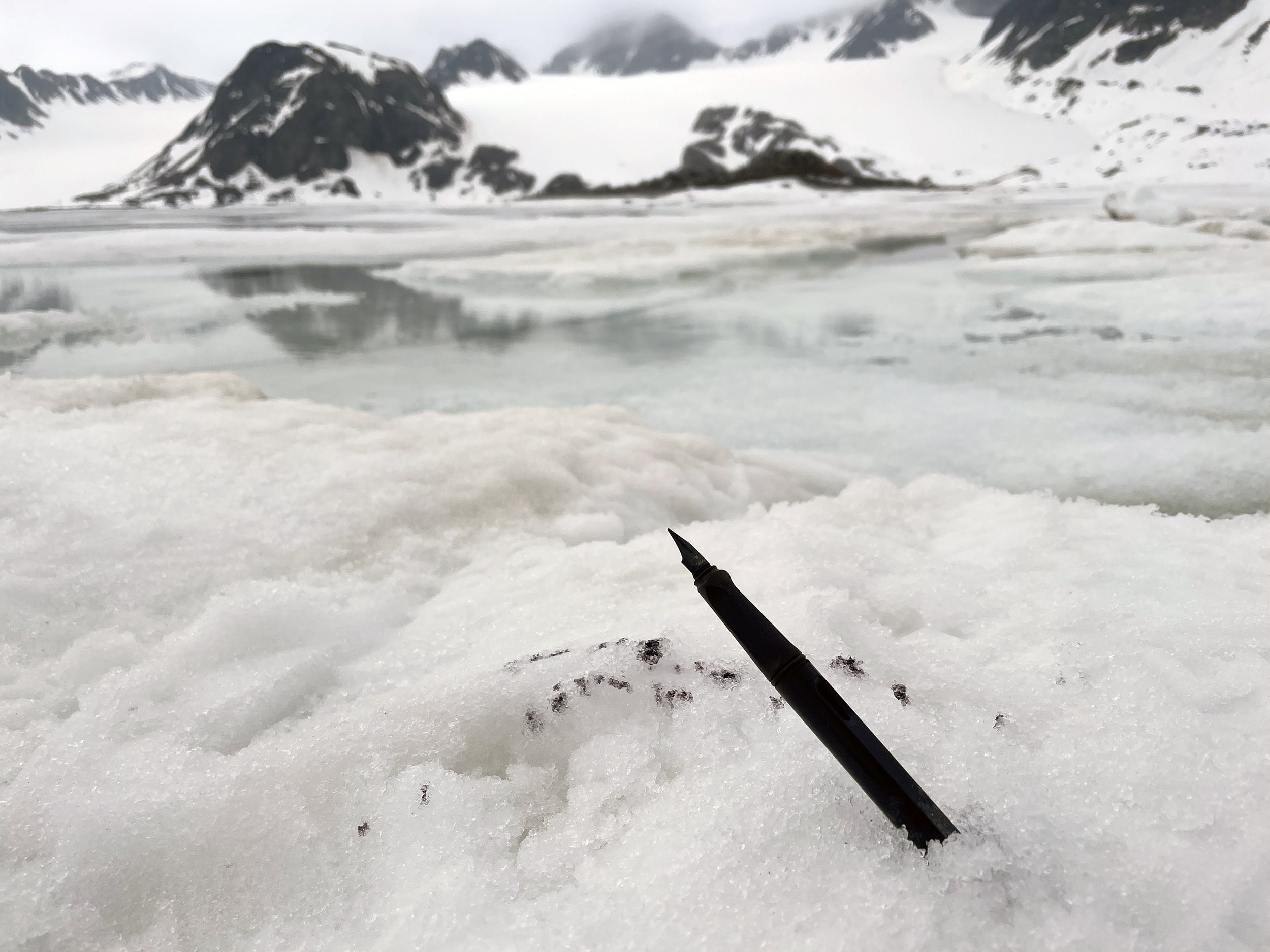 LR1_Arctic_Drawing_Michael_Lisle-Taylor.jpg