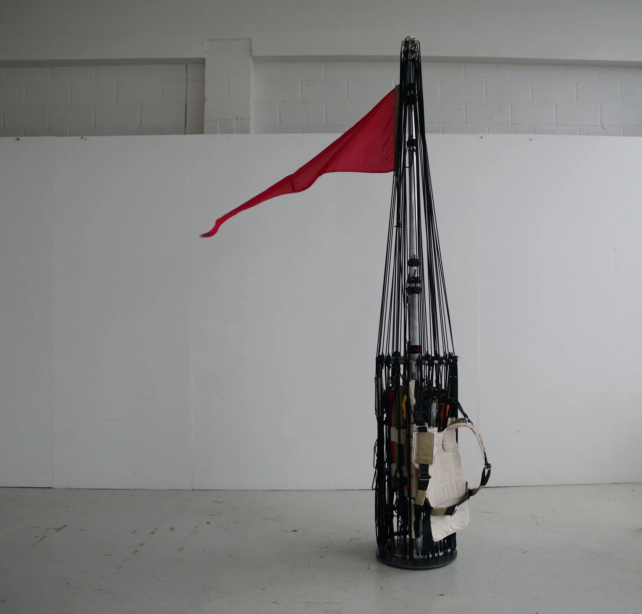 LR_Colours_fan_Michael_Lisle-Taylor copy.JPG.jpg