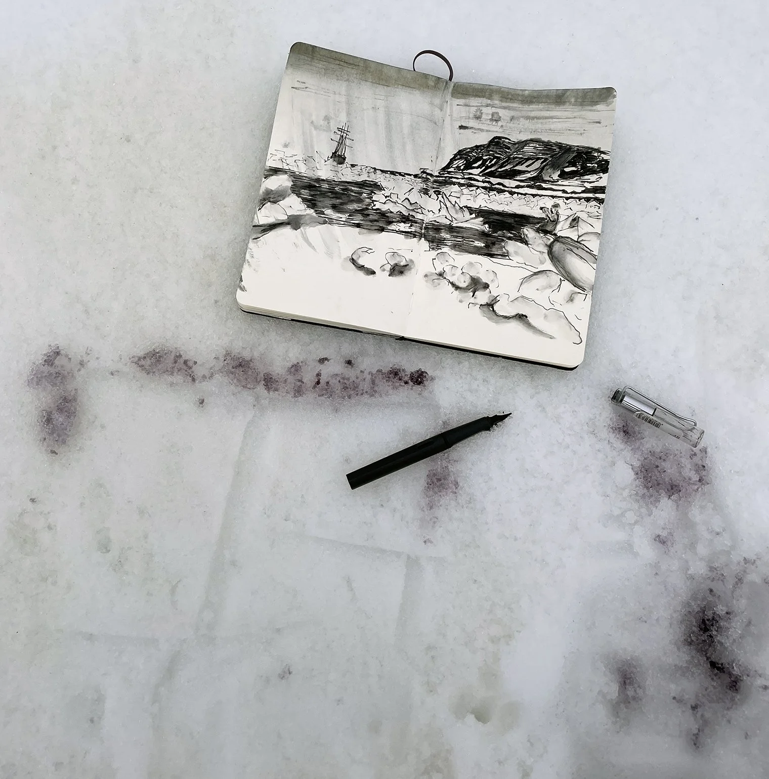 LRsq11_Arctic_Drawing_Michael_Lisle-Taylor.jpg