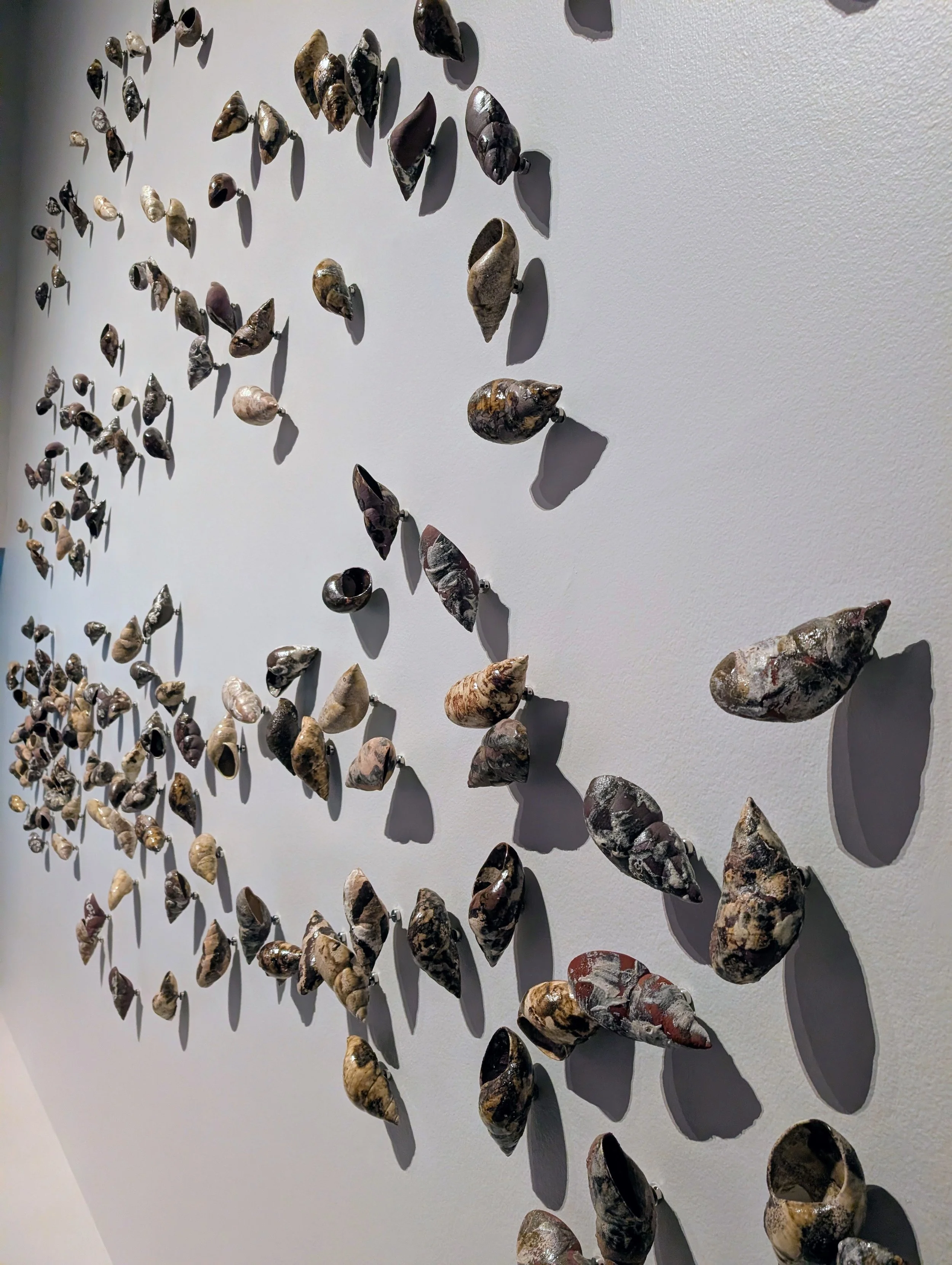 Nunami Sculthorpe-Green
