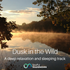 Dusk in the Wild.png