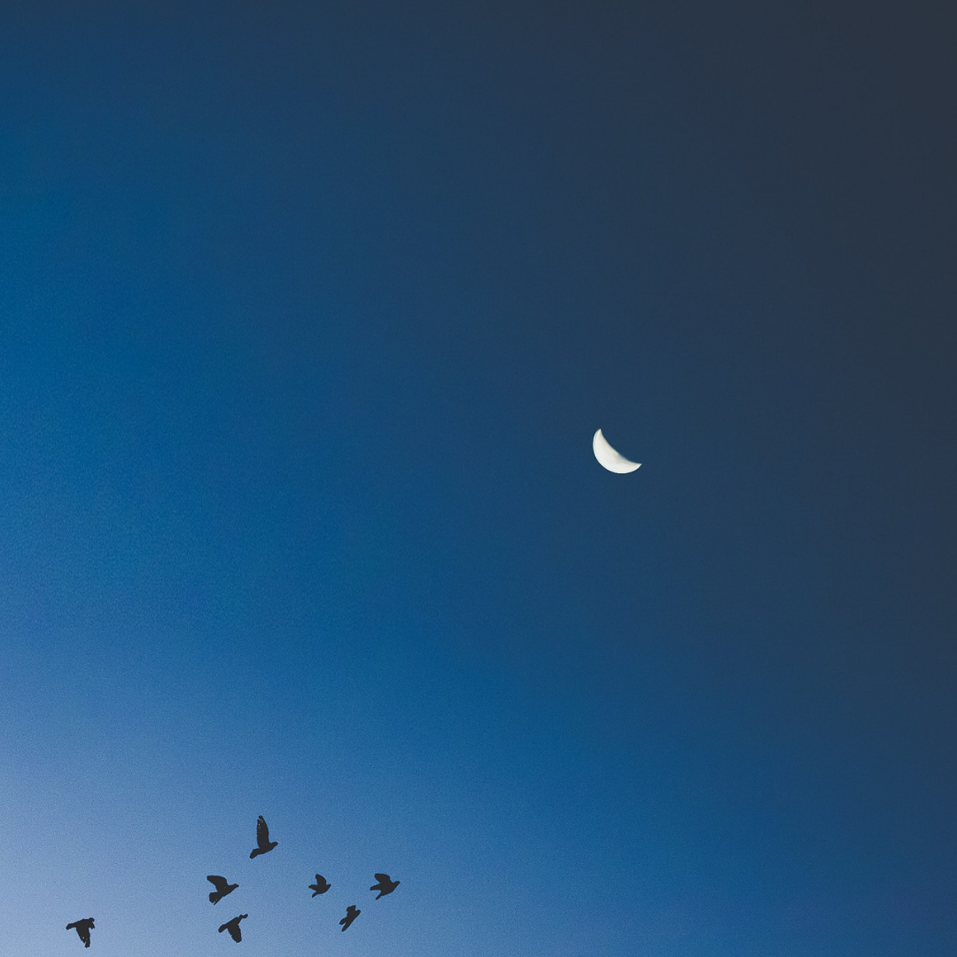 Online event: Lunar Sound Experience