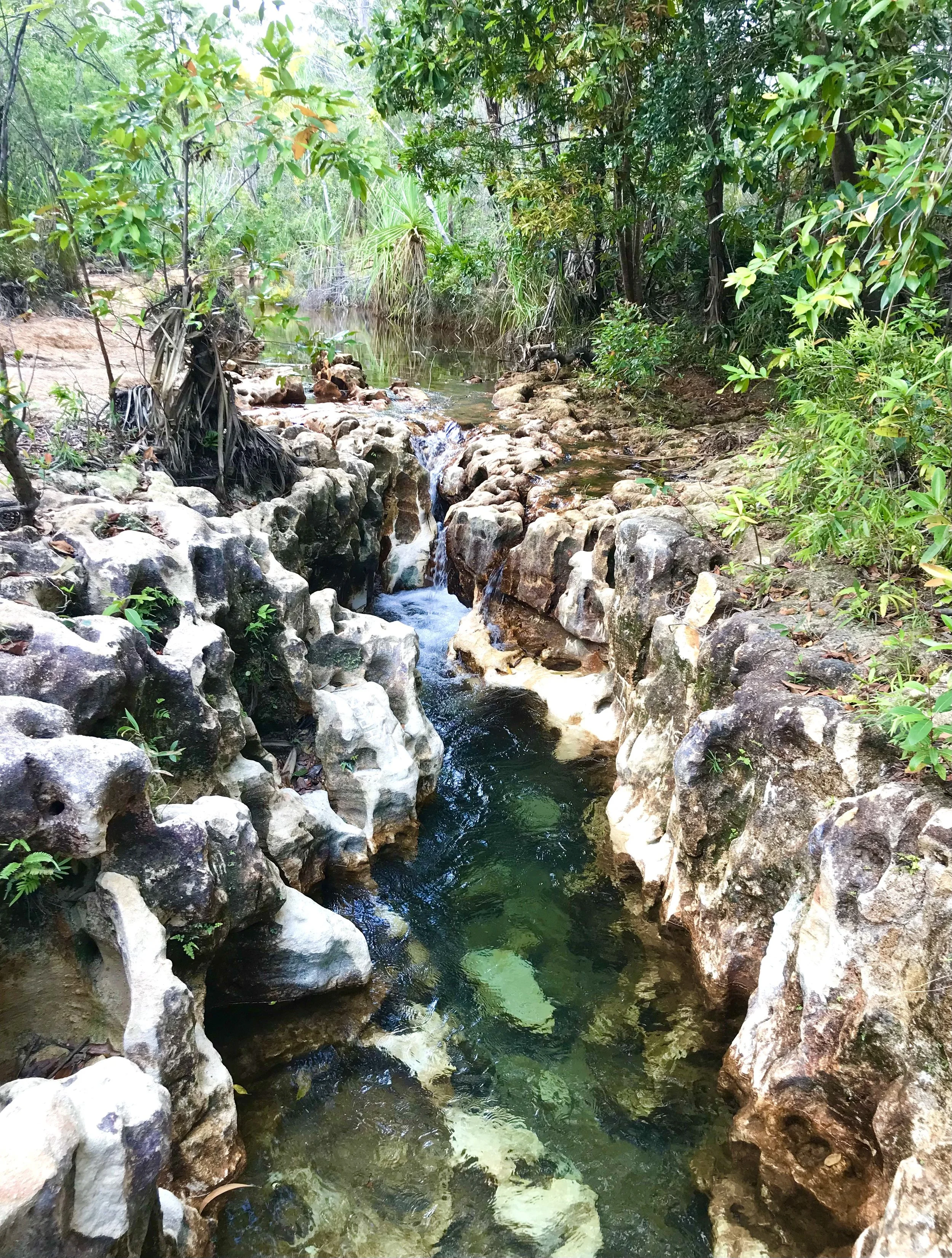 The sacred stream (riyala) of life  - an evening in conversation with Djapirri Mununggirritj