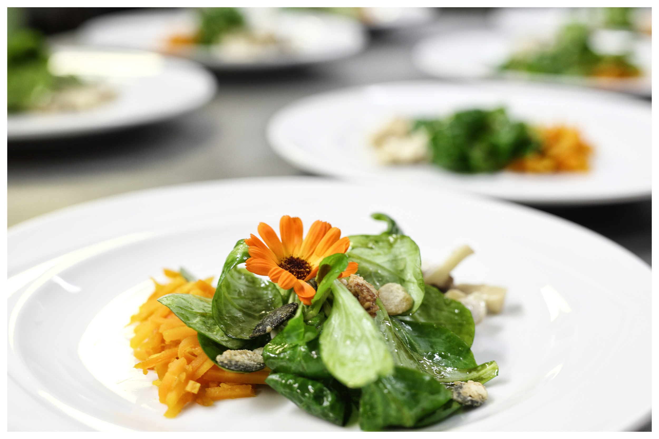 FOTO0742_ - Kopie.JPG