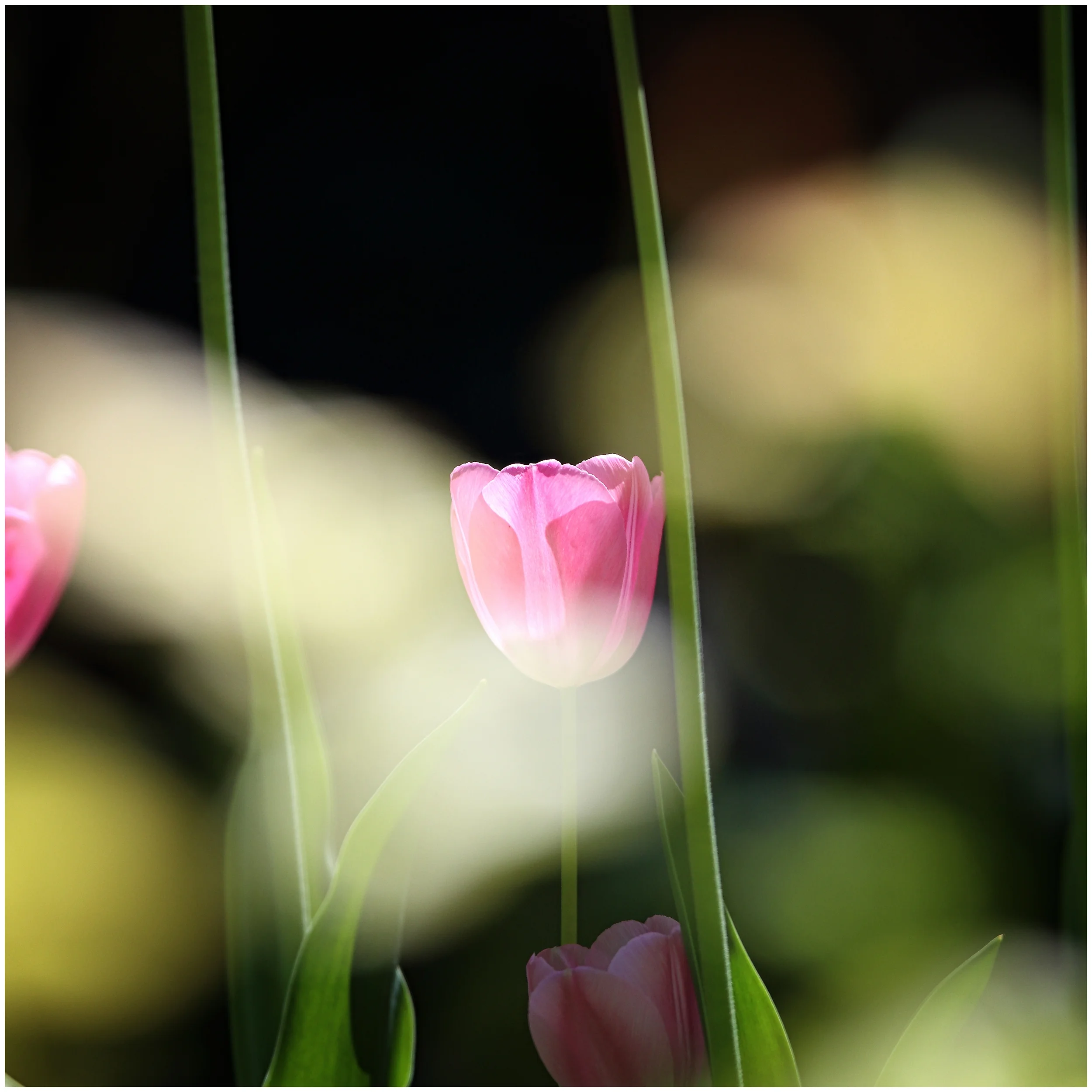 FOTO9977_.jpg