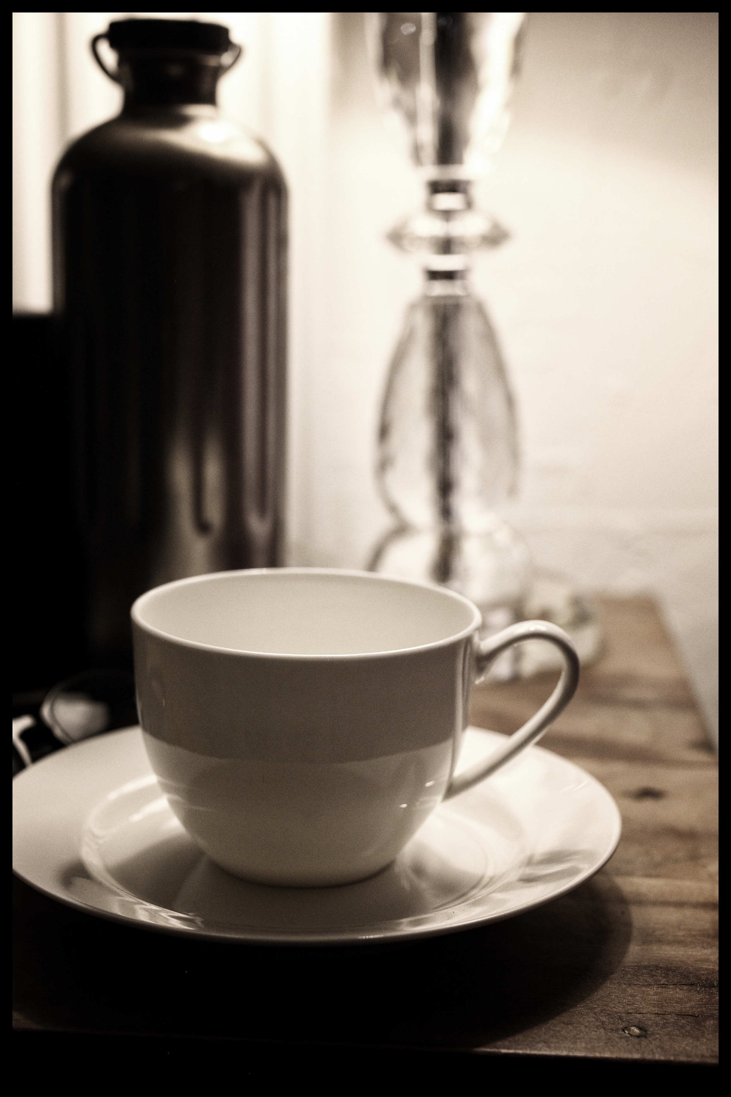 FOTO8111_.jpg