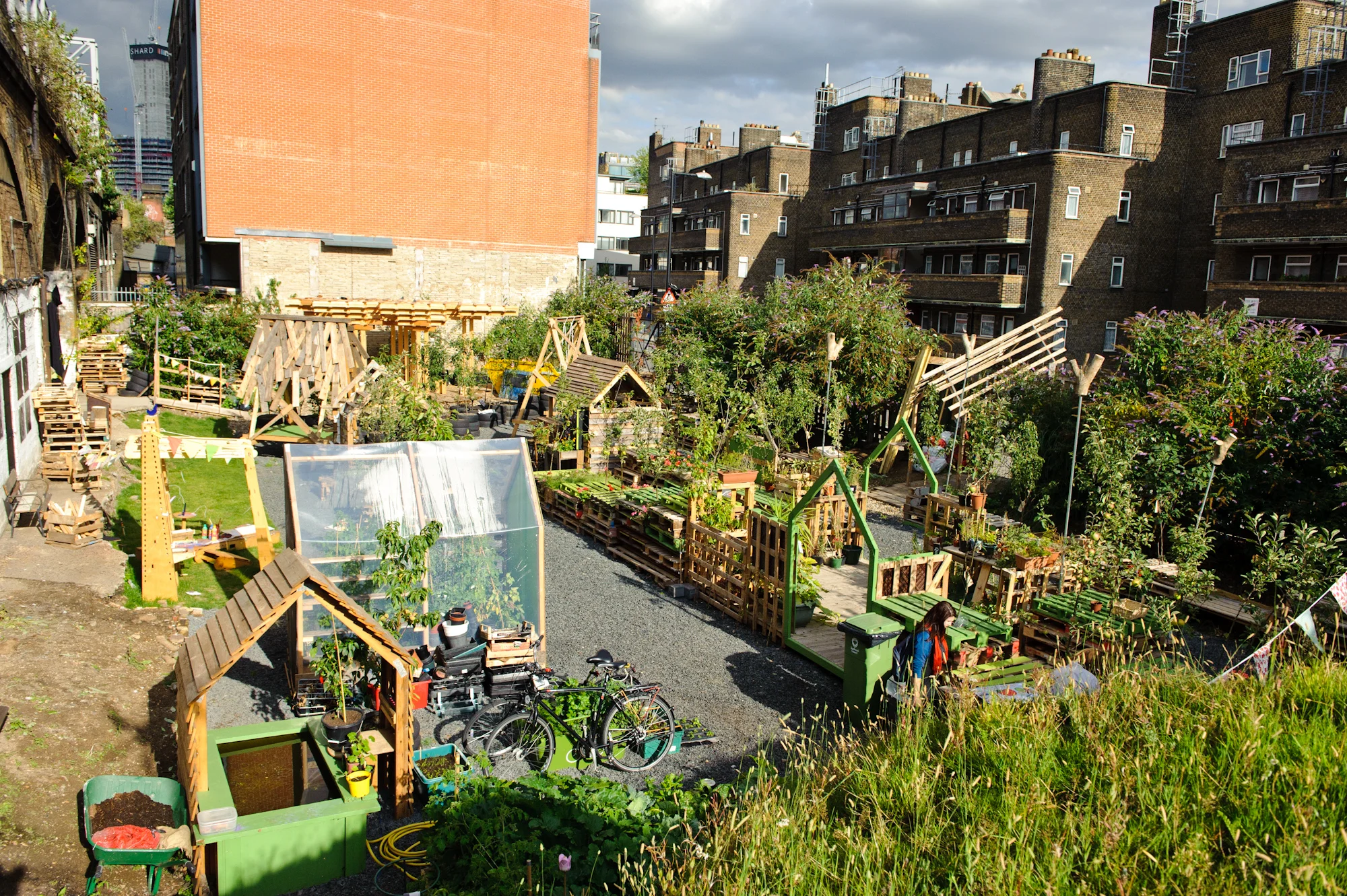 urban_orchard_august_05.jpg