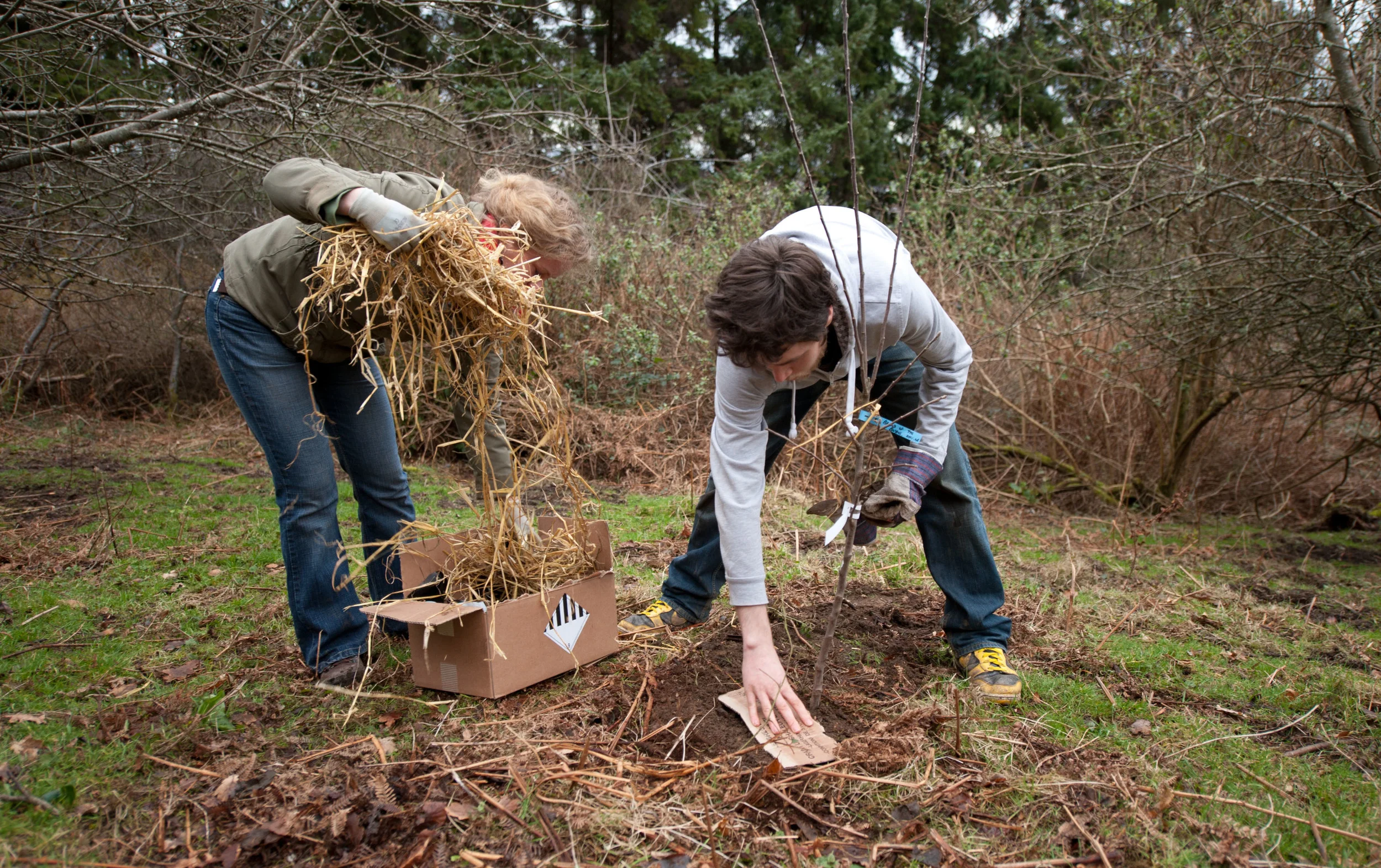 Edible Forest - Claire - Whitetea.ie-29.jpg