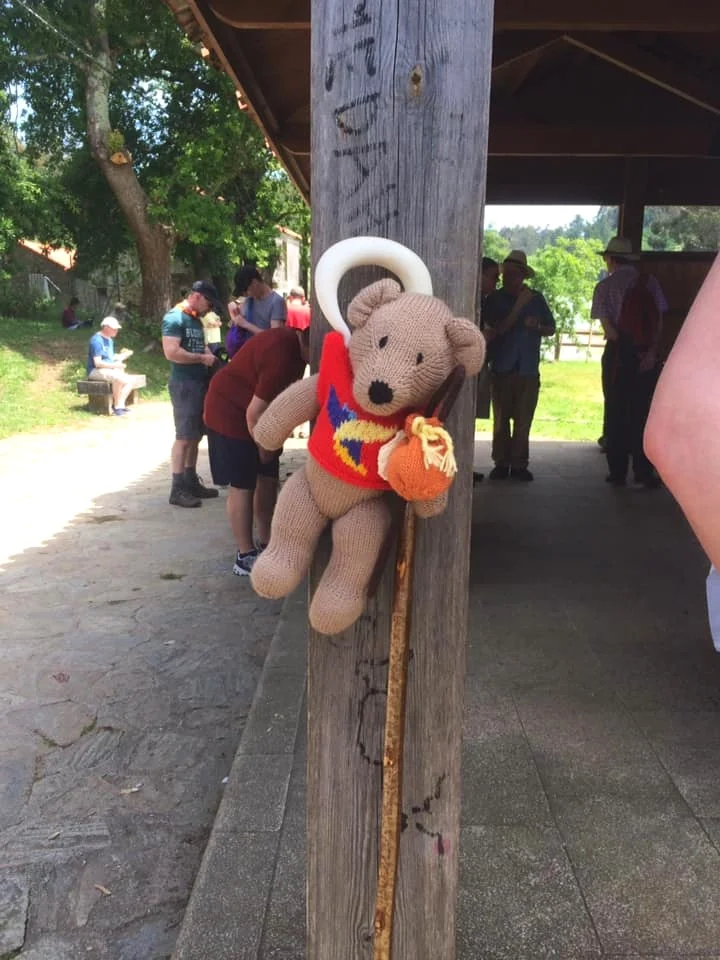 tedi2.jpg