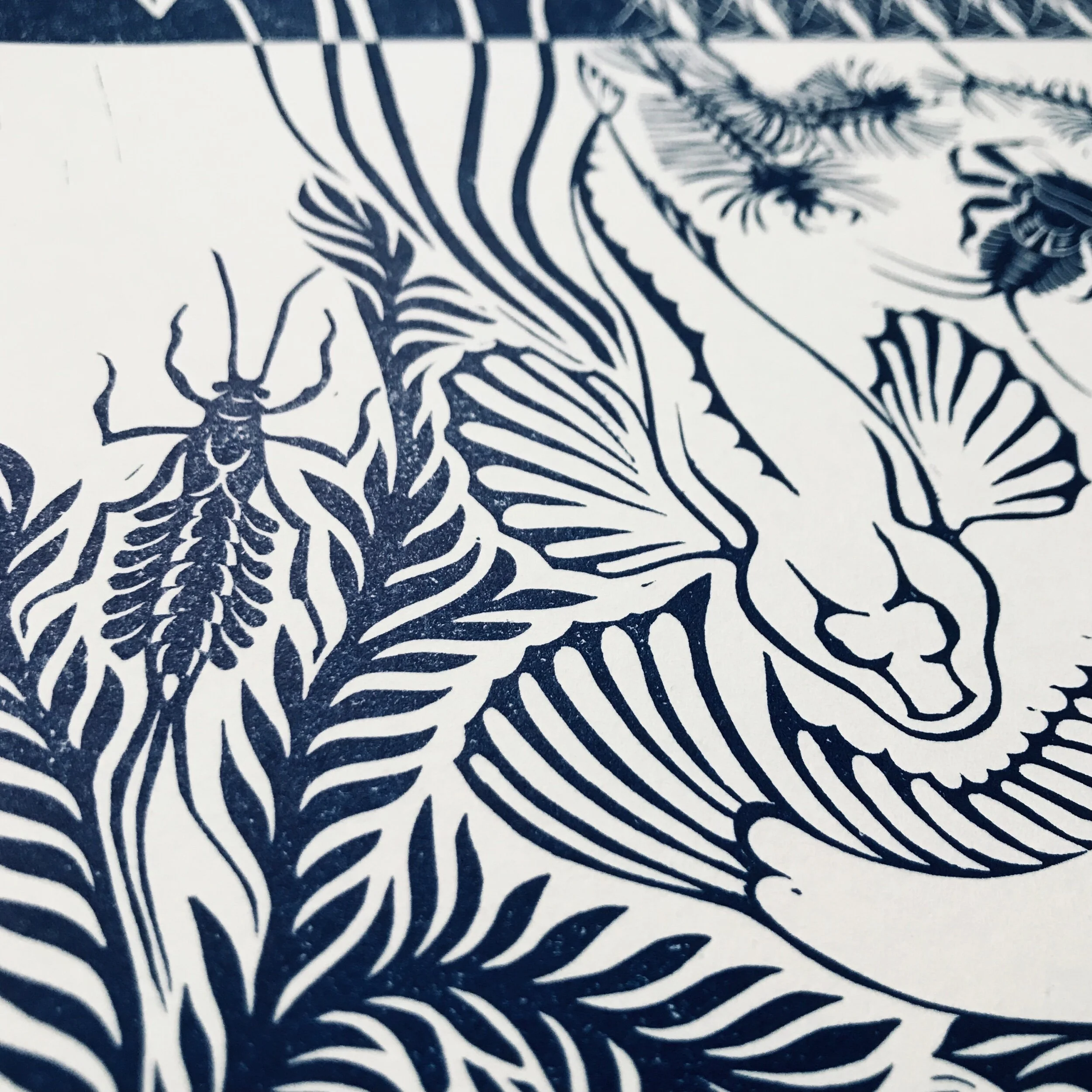 65E52FDB-BBFB-4F06-8E83-7CD252D07CFB