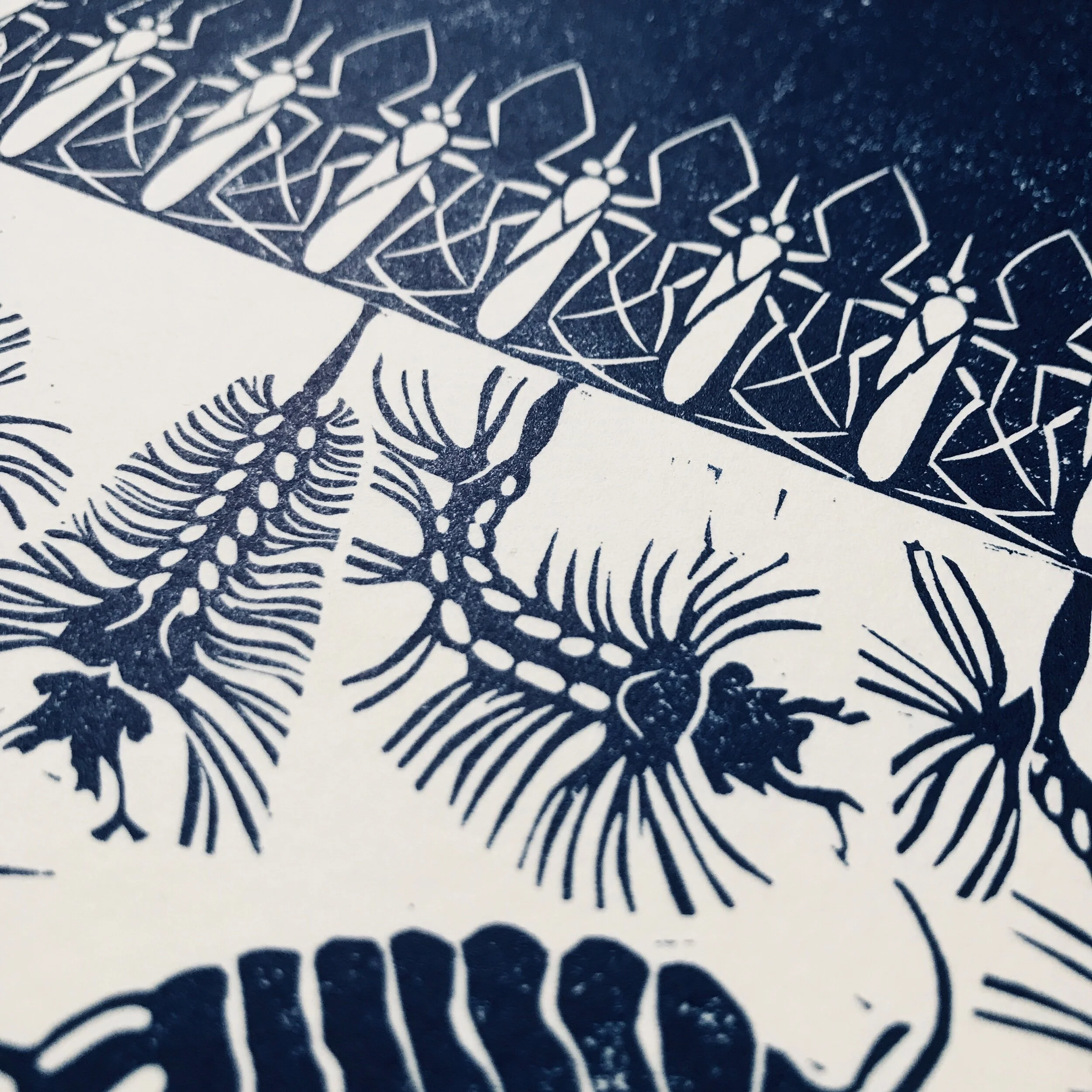 F94A001B-4081-4193-871E-54BC4D8BA1FA