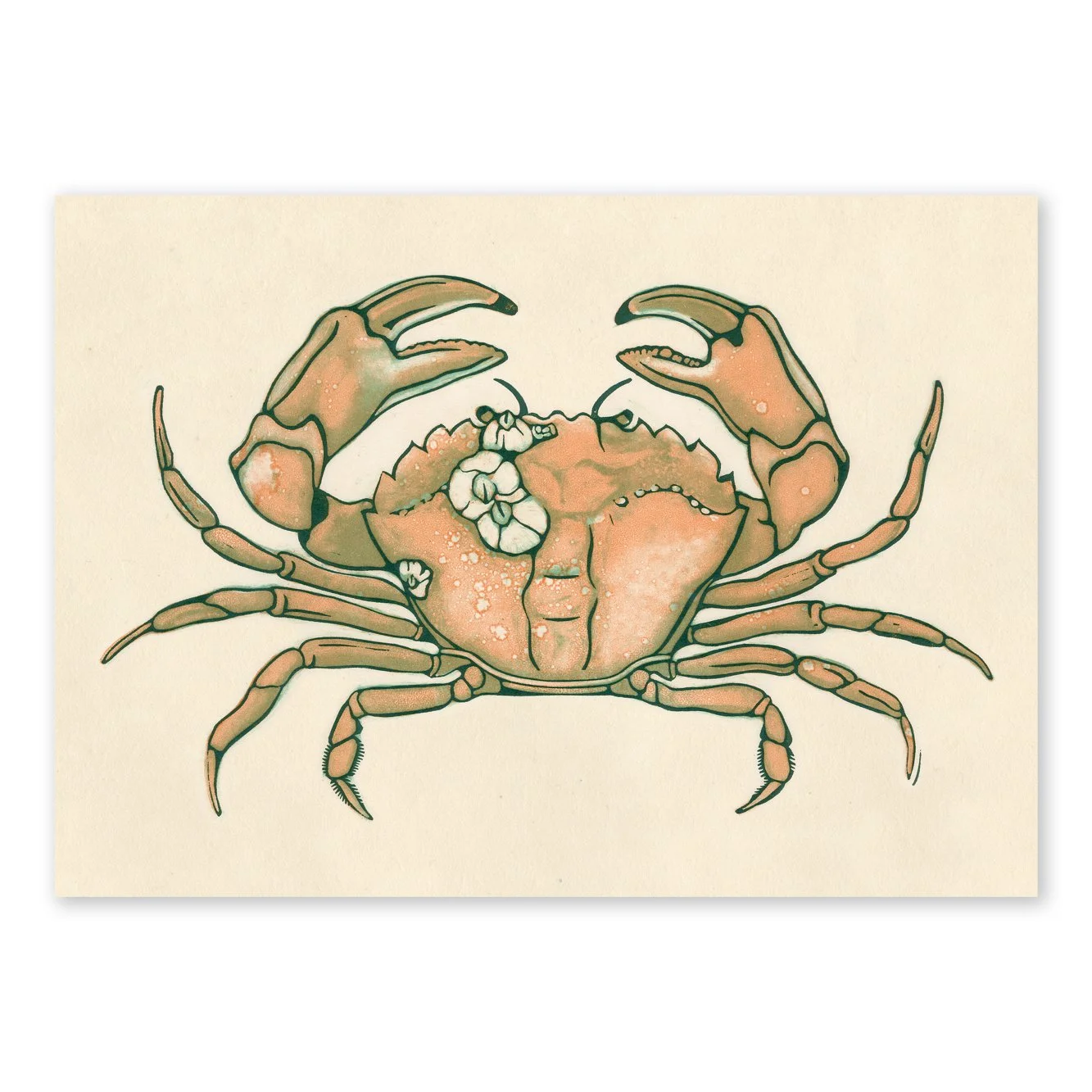 krab_MerlijneMarell_1b.jpg