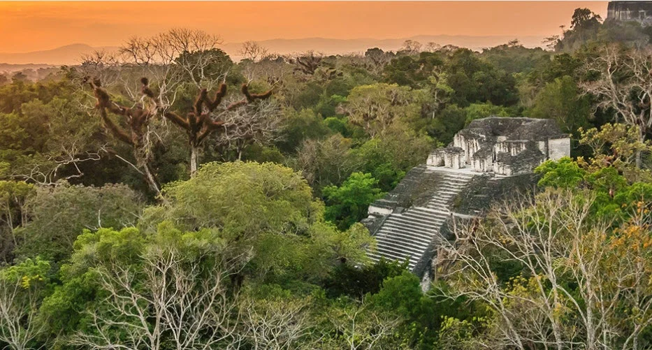 Tikal.jpg