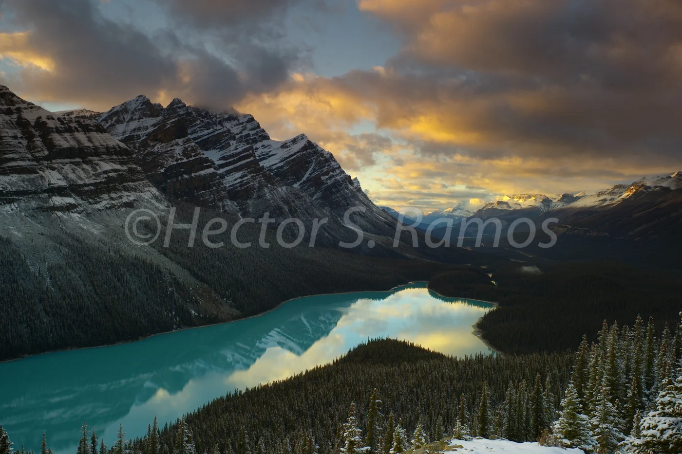 blushing horizon.JPG