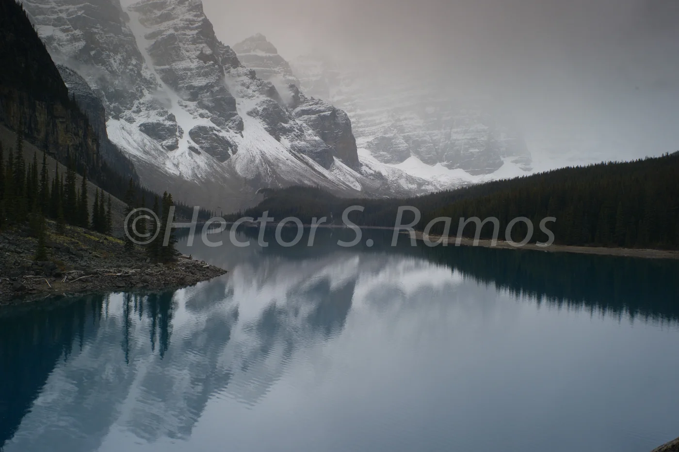 Quiet Reflection.JPG