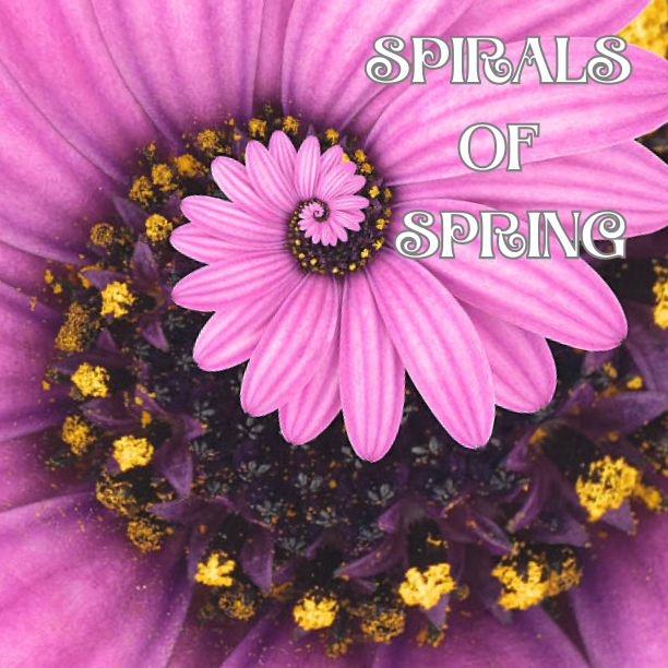 Spirals of Spring: Sound &amp; Song