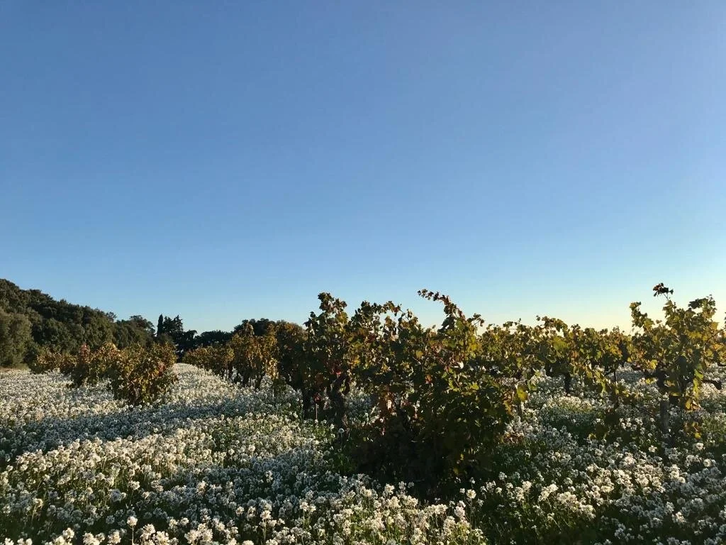 Le charme de la Provence en automne