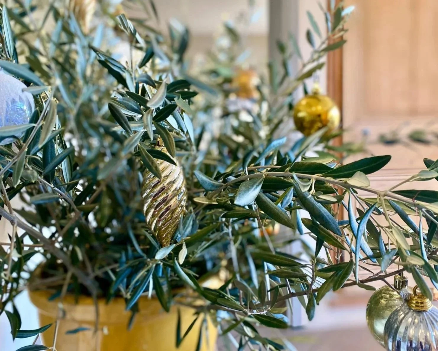 Bienvenue à nos hôtes