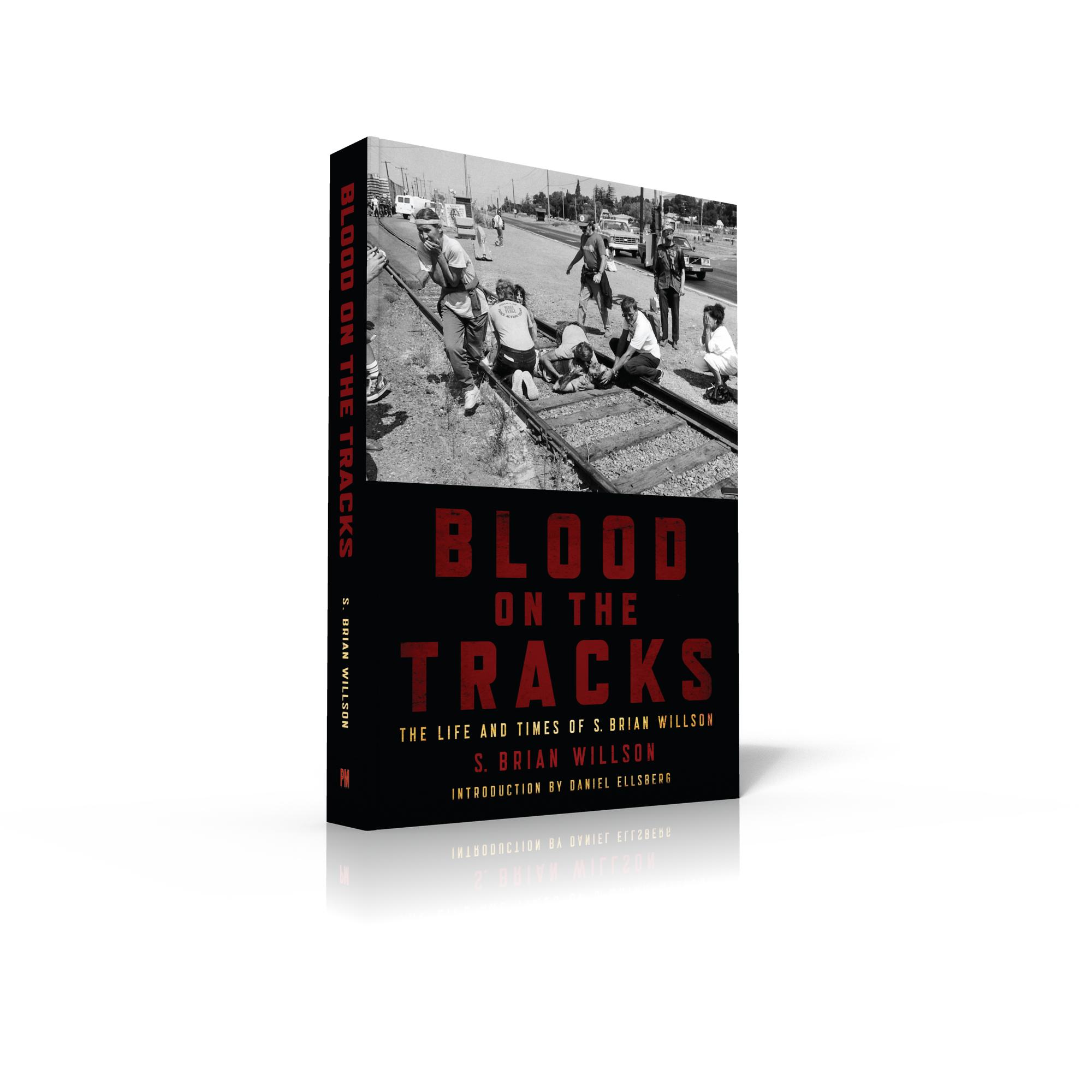Blood_on_the_tracks_3D.jpg